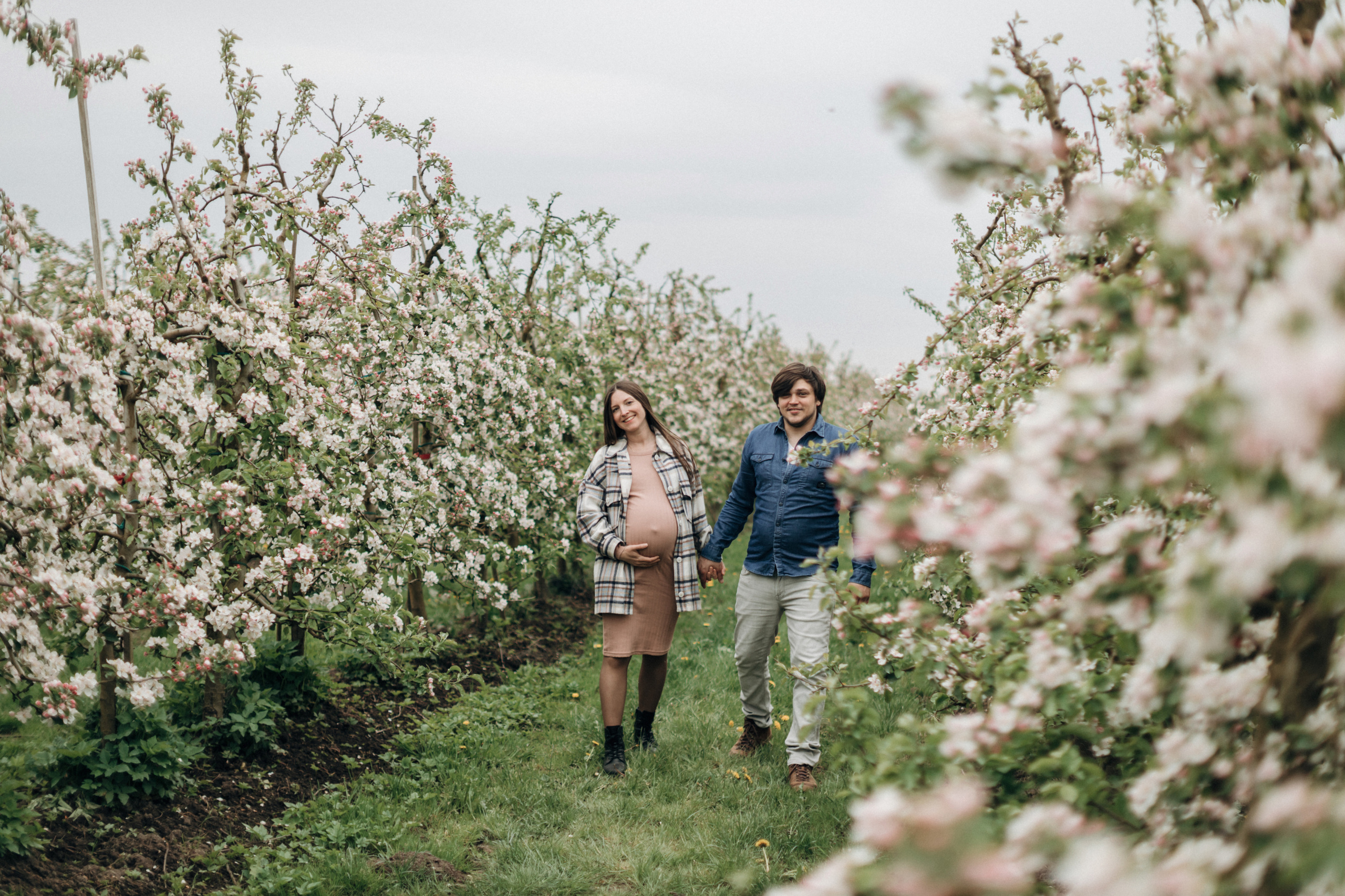Babybauch-Fotoshooting in den blühenden Apfelplantagen des Alten Landes. Maria Chistyakovа — Fotografin in Karlsruhe, Baden-Baden und Umgebung