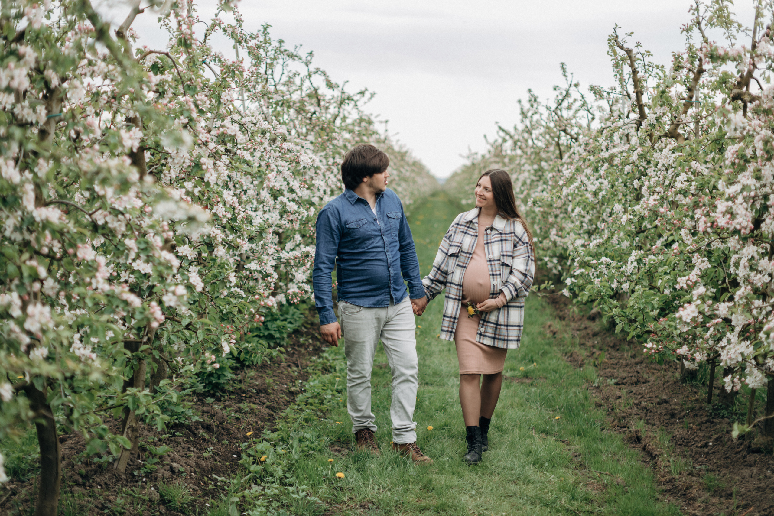 Babybauch-Fotoshooting in den blühenden Apfelplantagen des Alten Landes. Maria Chistyakovа — Fotografin in Karlsruhe, Baden-Baden und Umgebung