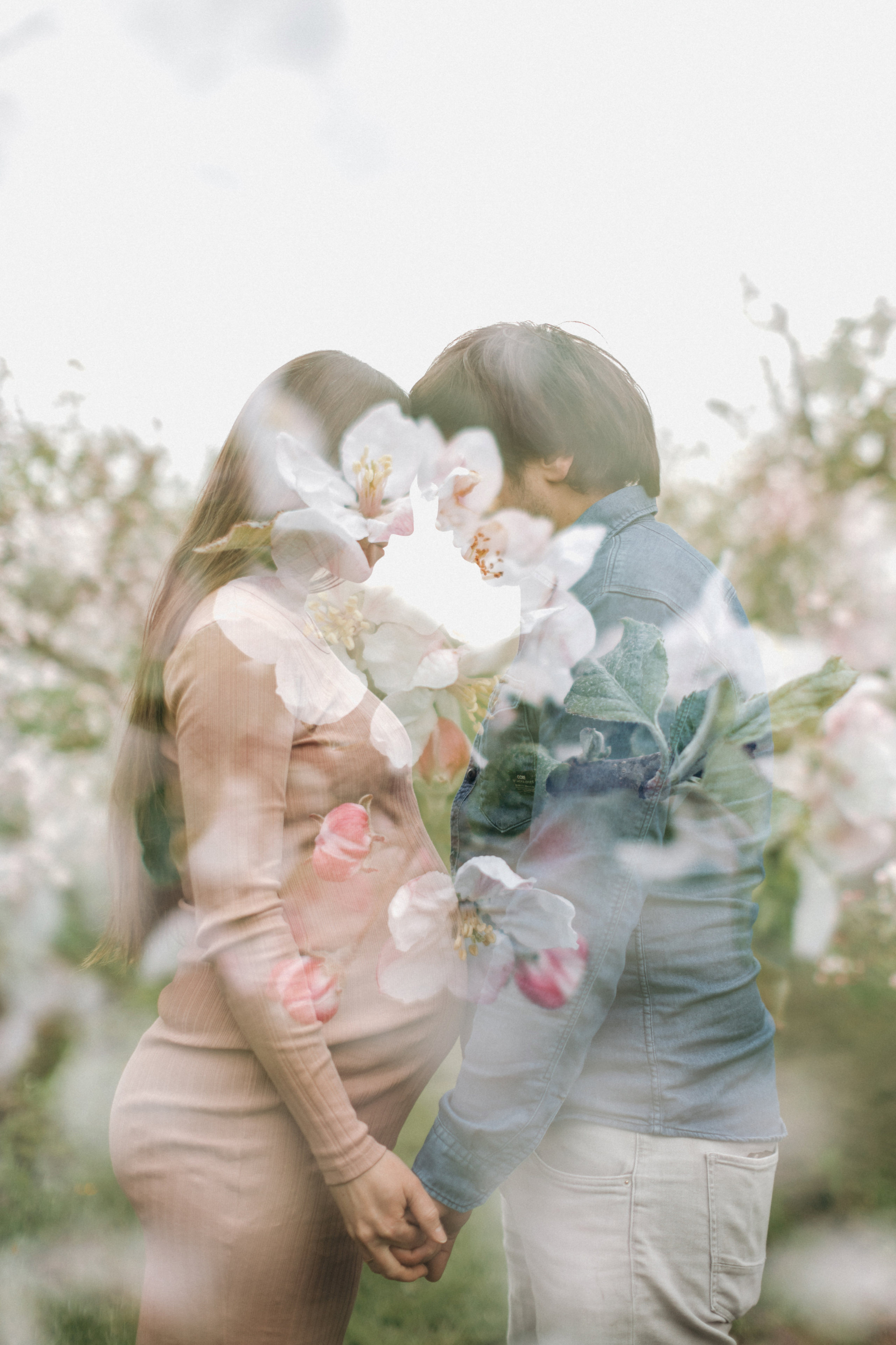 Babybauch-Fotoshooting in den blühenden Apfelplantagen des Alten Landes. Maria Chistyakovа — Fotografin in Karlsruhe, Baden-Baden und Umgebung