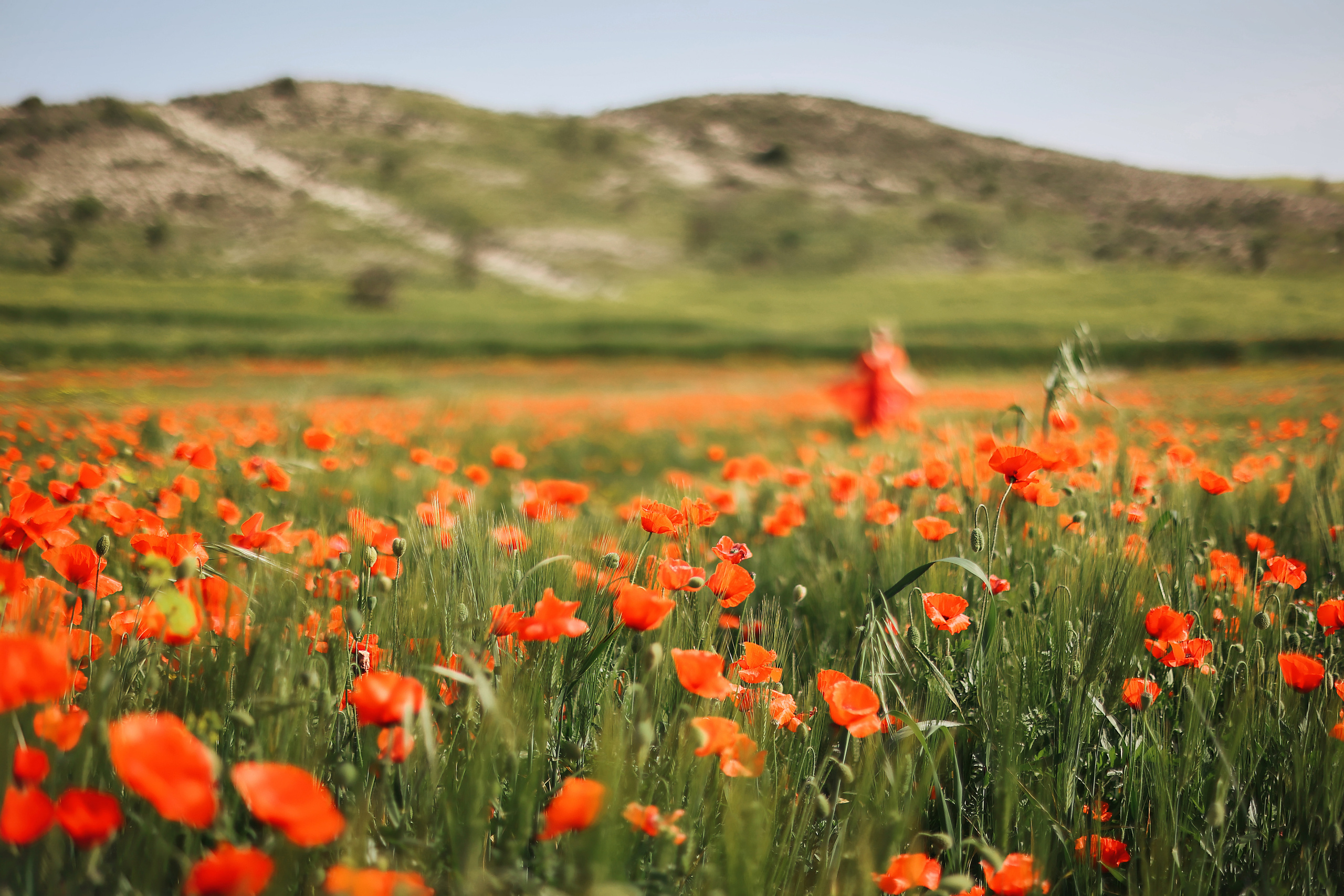 Индивидуальная экспресс-съемка в Ларнаке. Апрель, 2022. Cyprus Vision. Photos and videos in Cyprus — Ayia Napa, Protaras