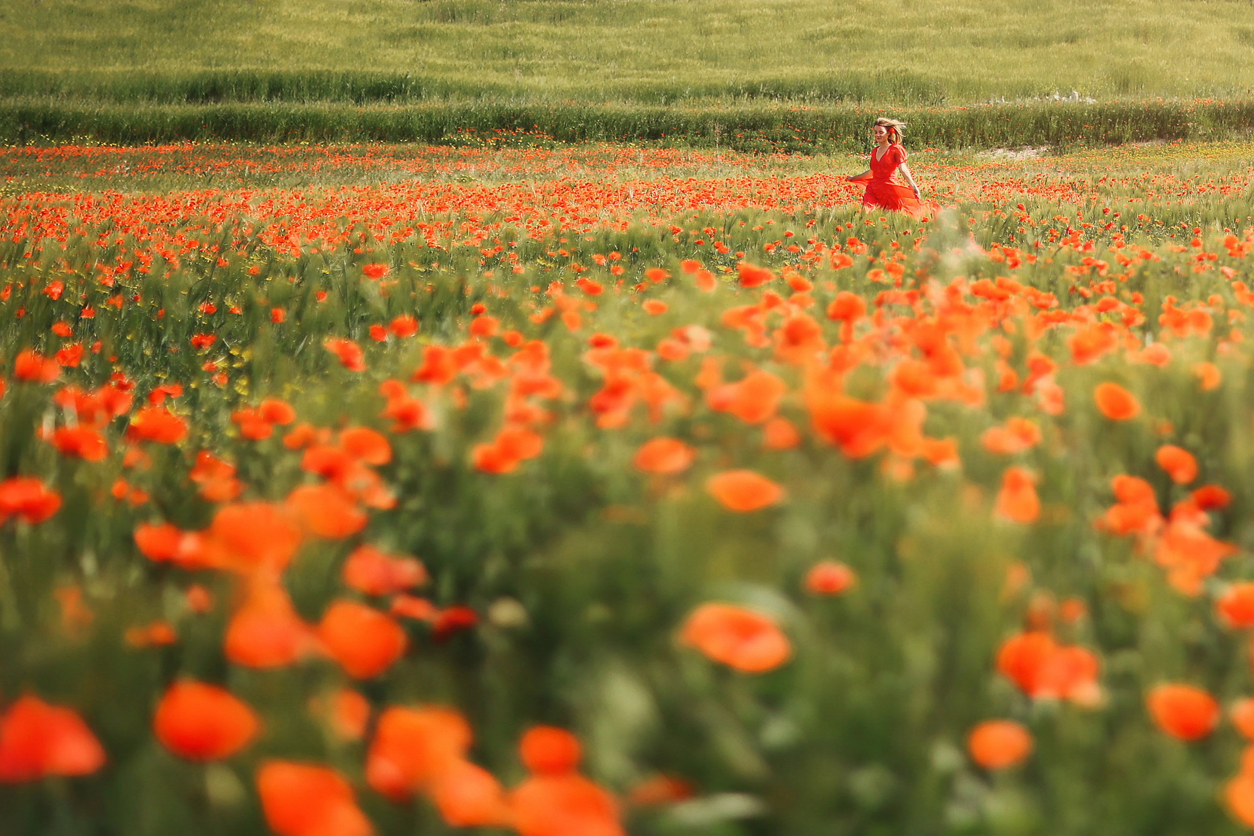 Индивидуальная экспресс-съемка в Ларнаке. Апрель, 2022. Cyprus Vision. Photos and videos in Cyprus — Ayia Napa, Protaras