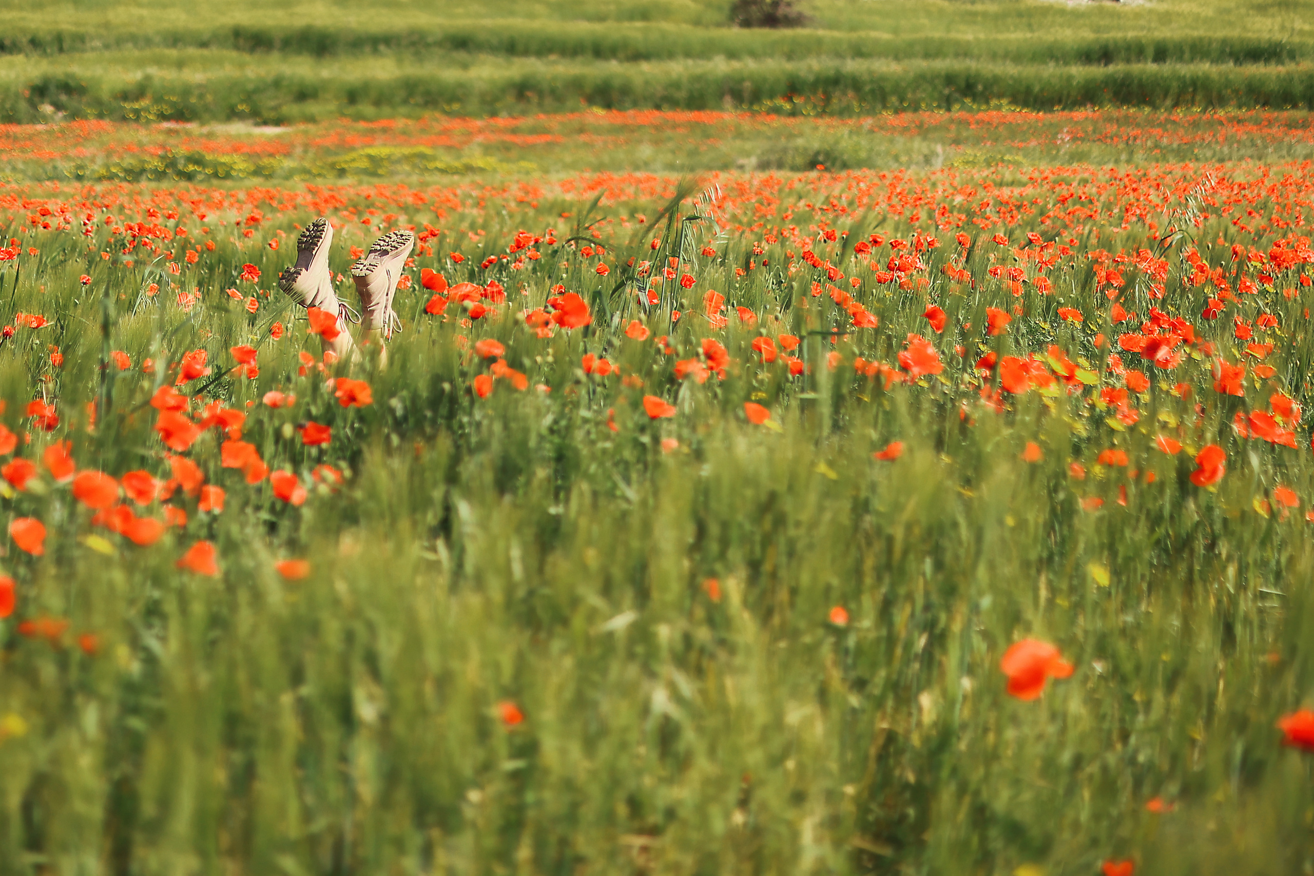 Индивидуальная экспресс-съемка в Ларнаке. Апрель, 2022. Cyprus Vision. Photos and videos in Cyprus — Ayia Napa, Protaras