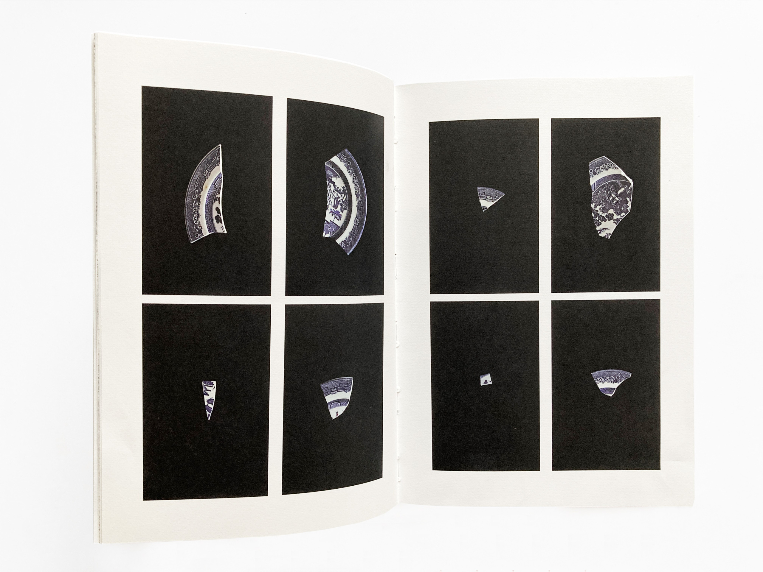 Fly in Amber. Sveta Kaverina