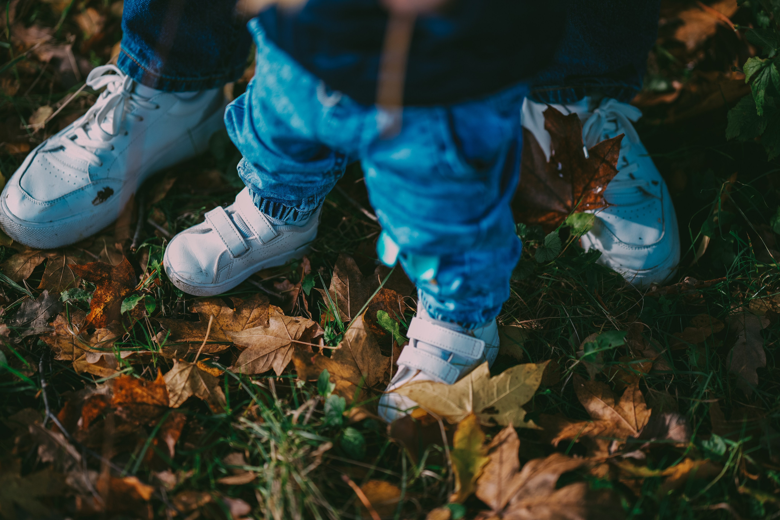 Family photo shoot in Brueton park