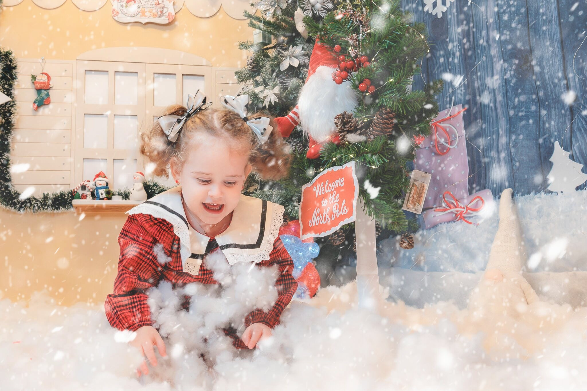 Sedinta Craciun Ioana