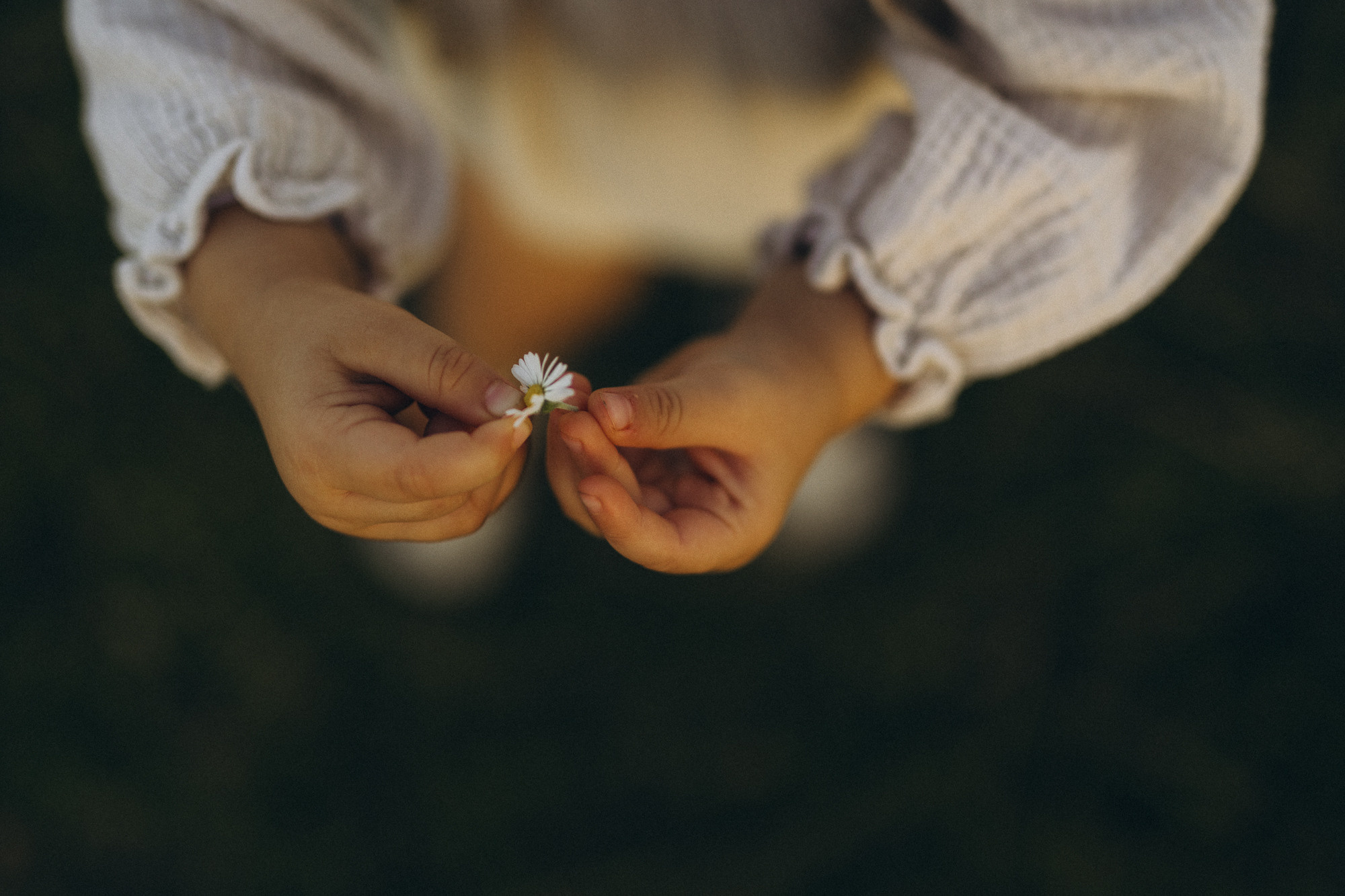 Familienshooting in Düsseldorf. Familien & Hochzeitfotografin Nadja Holzmann