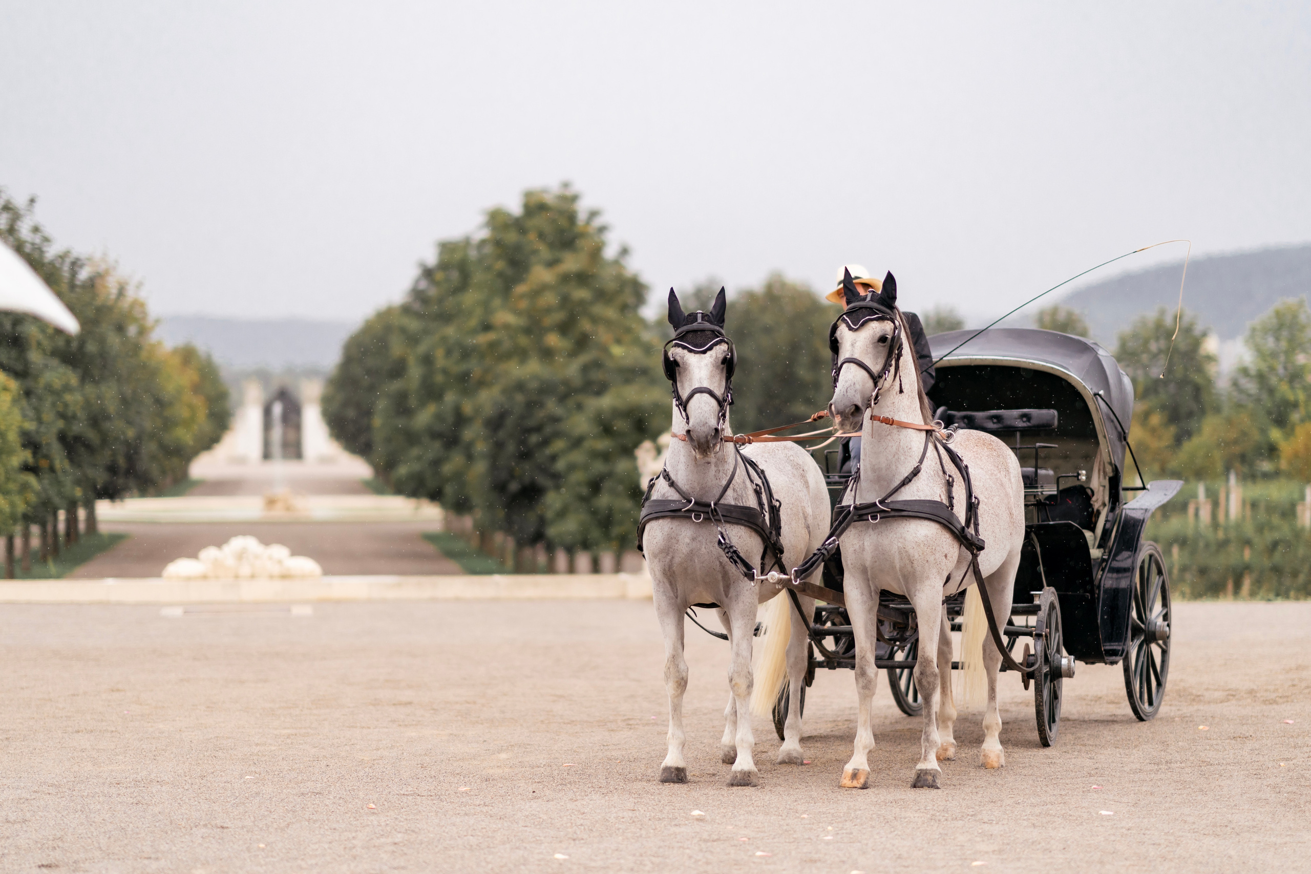 WEDDINGS. Professional garden design and photography services in London