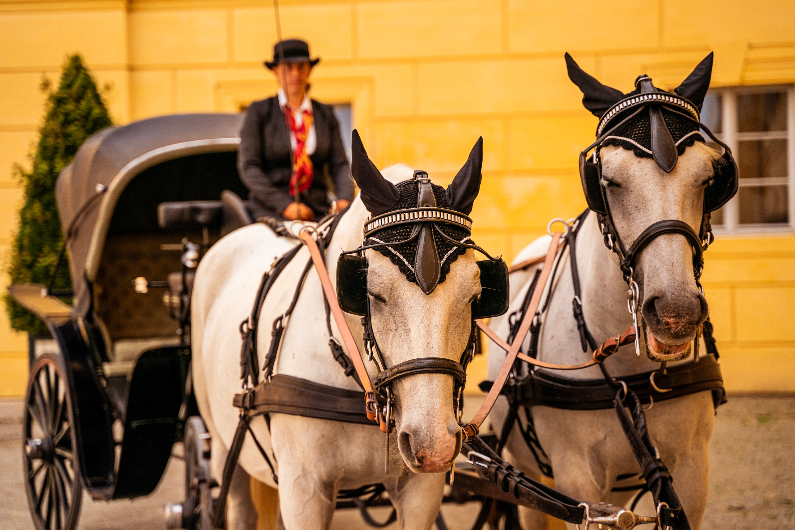 WEDDINGS. Professional garden design and photography services in London