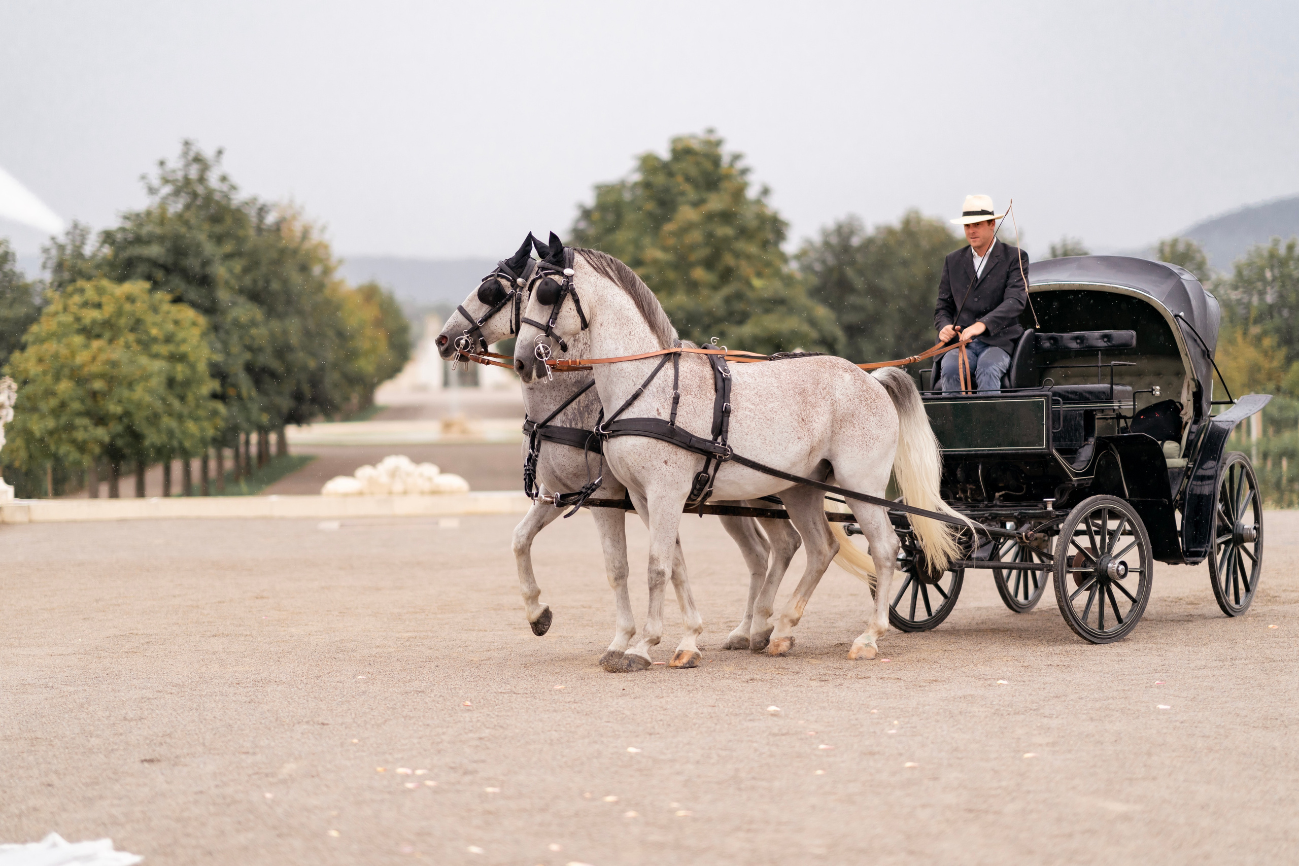 WEDDINGS. Professional garden design and photography services in London