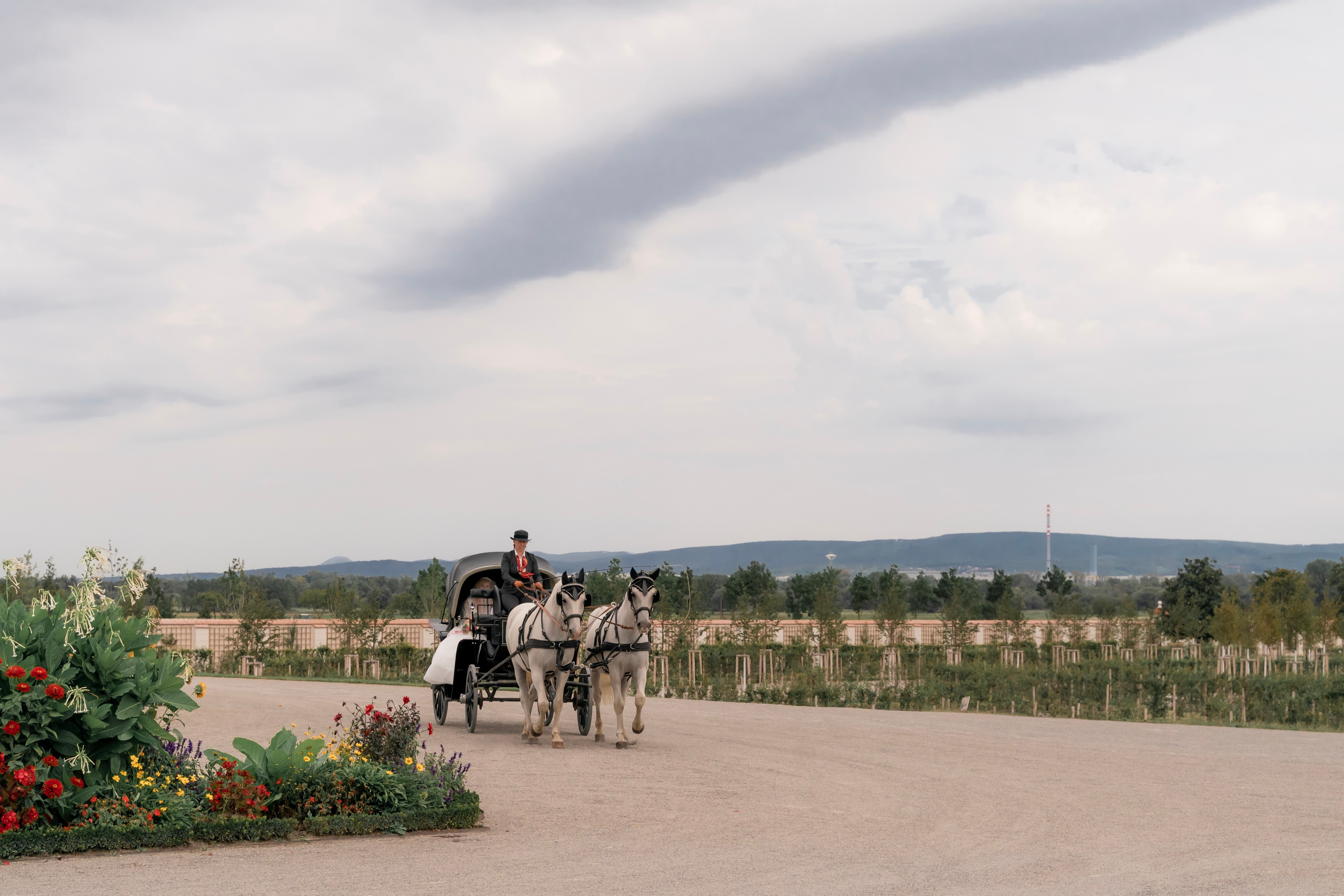 WEDDINGS. Professional garden design and photography services in London