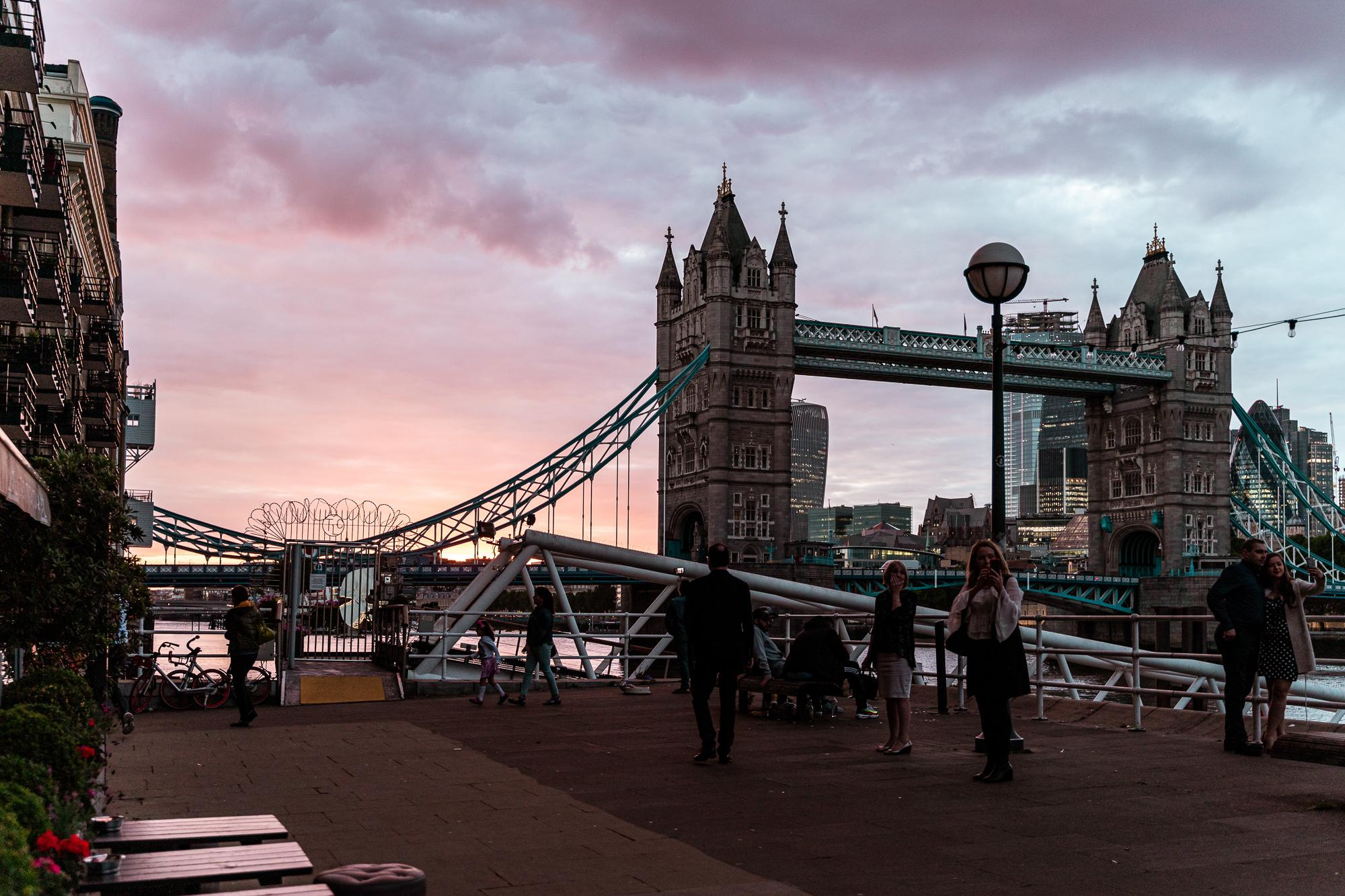 30th BD. Professional garden design and photography services in London