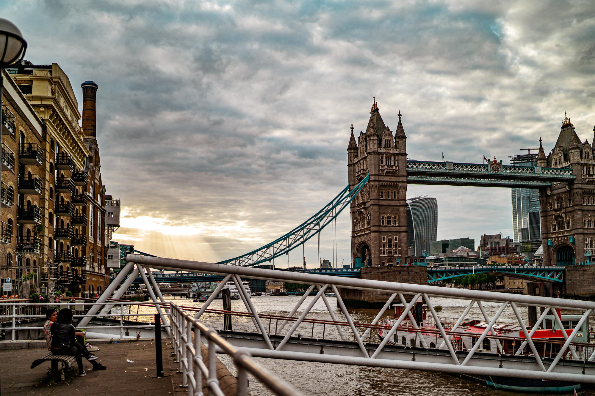 30th BD. Professional garden design and photography services in London