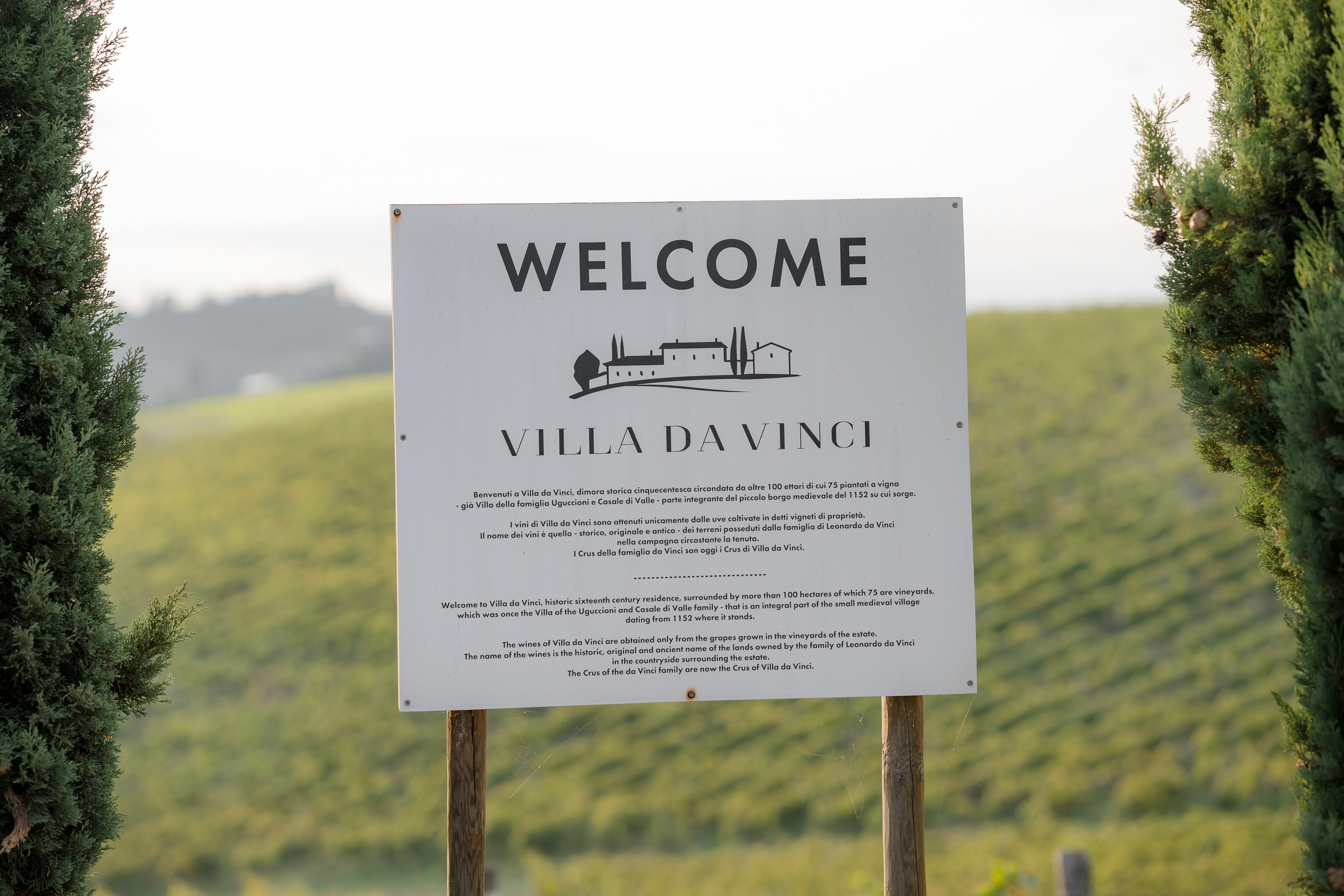 Dom&Ally. Wedding photographer Italy