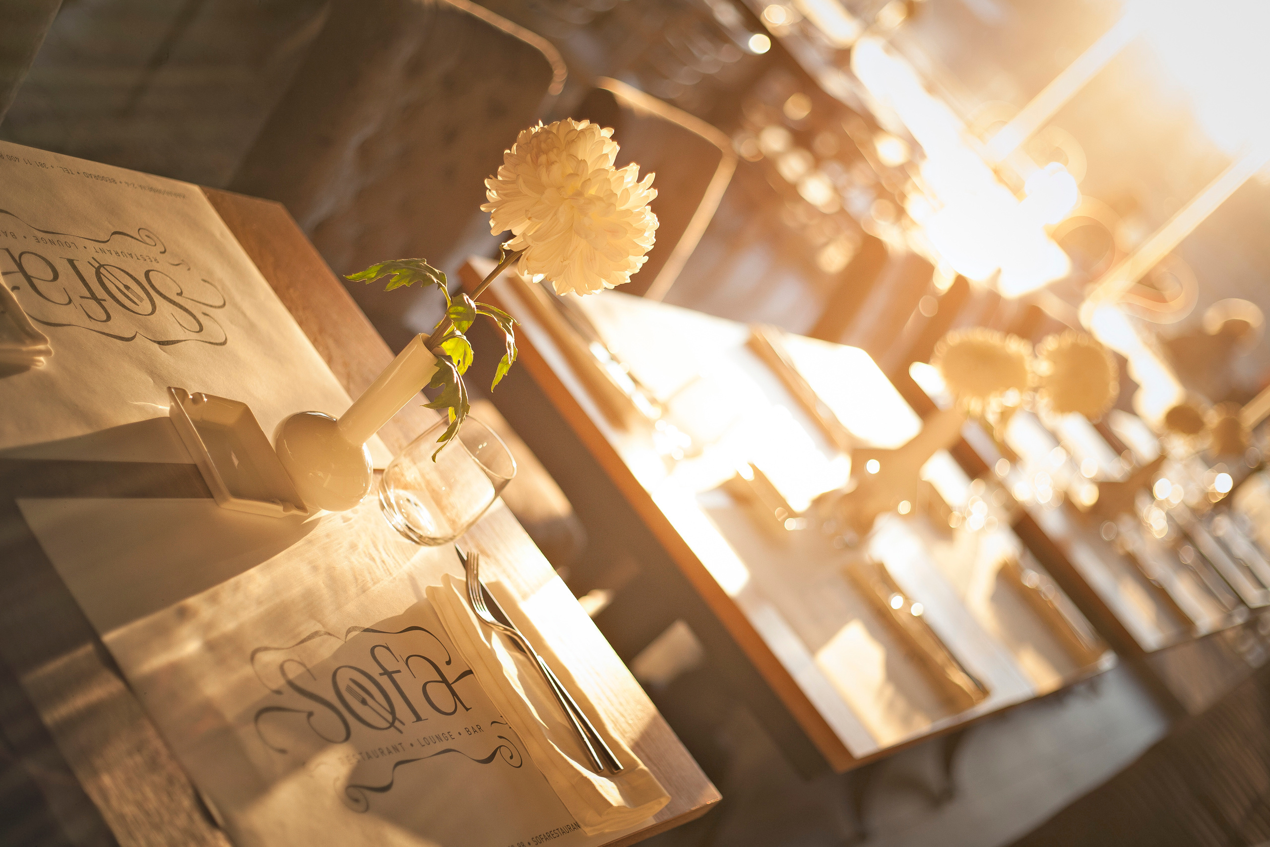 Sofa Restaurant, fine dining in Belgrade. Mark Smilyanic | Portrait and Adventure Photographer from Belgrade