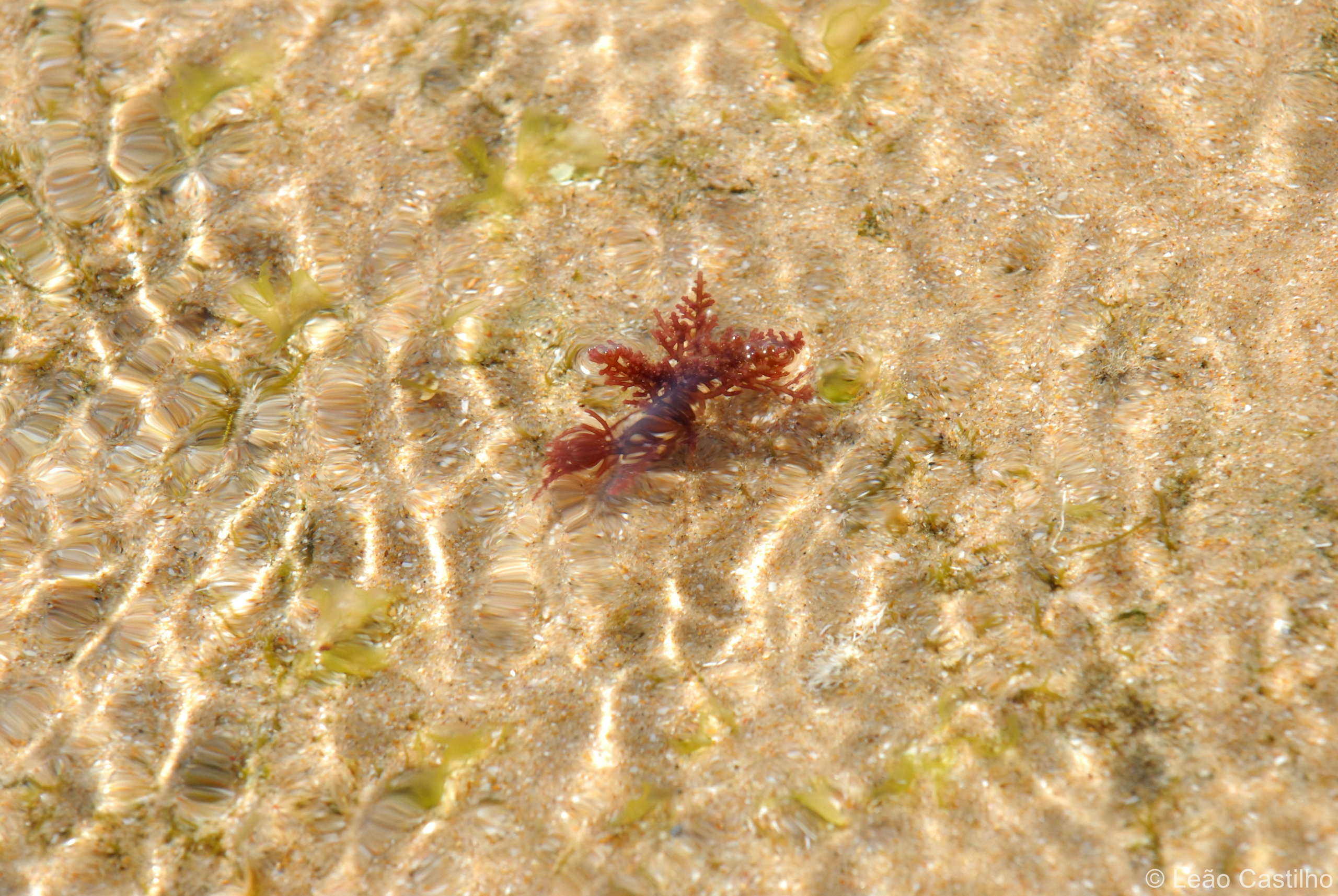 Photos from Mozambique. Simbahalu