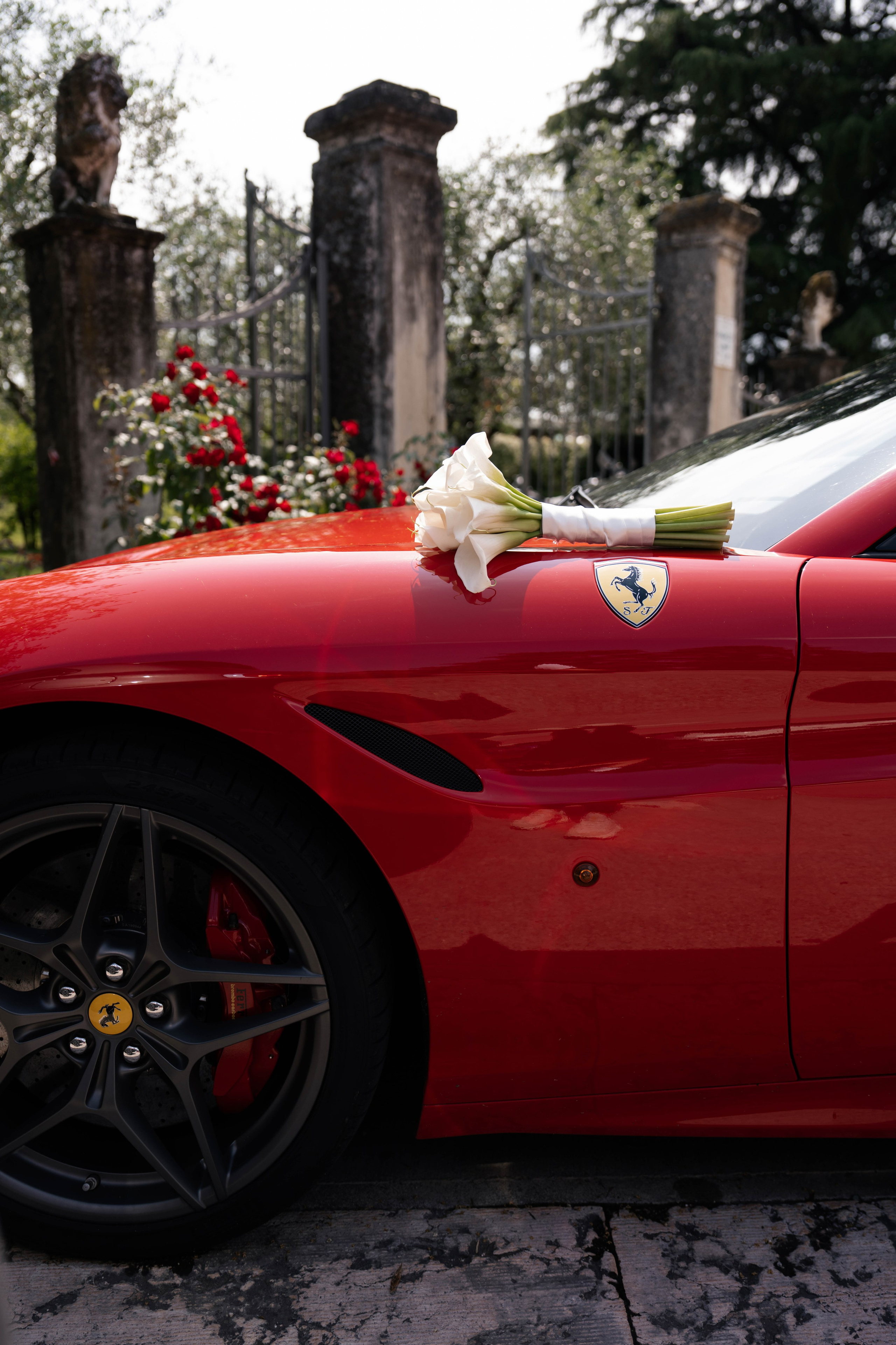 An Evening of Elegance and Extraordinary Performances. Ioana Timis