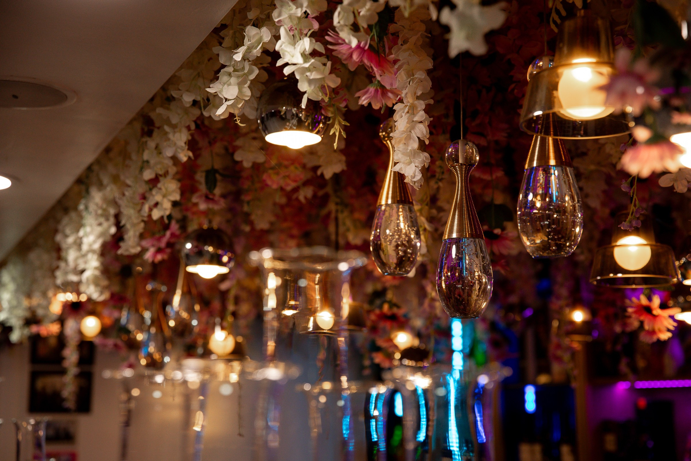 Parties. Https://valphoto.wfolio.pro/