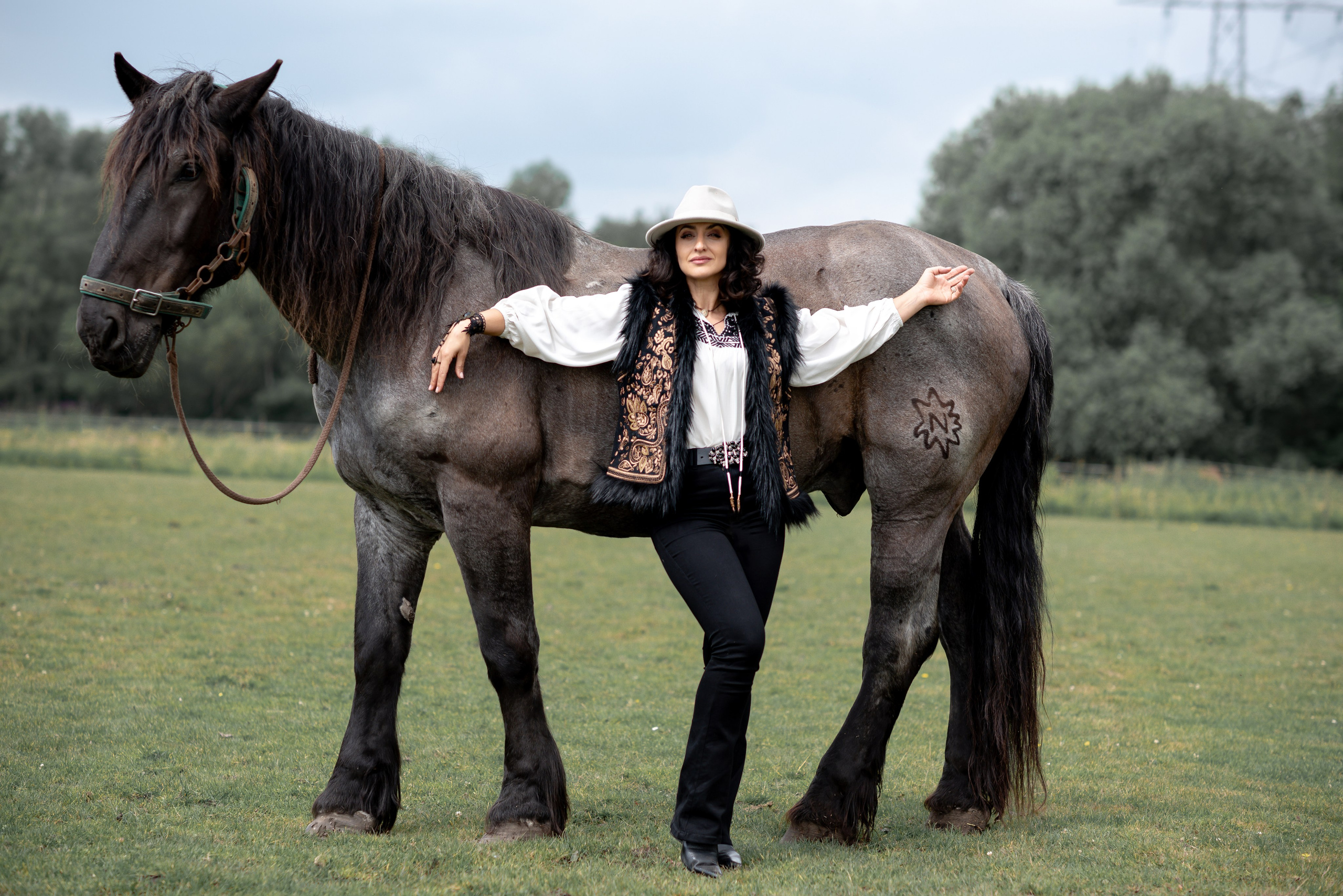 Photoshoot with Horses. Professional Photograher, Antwerpen/Belgium