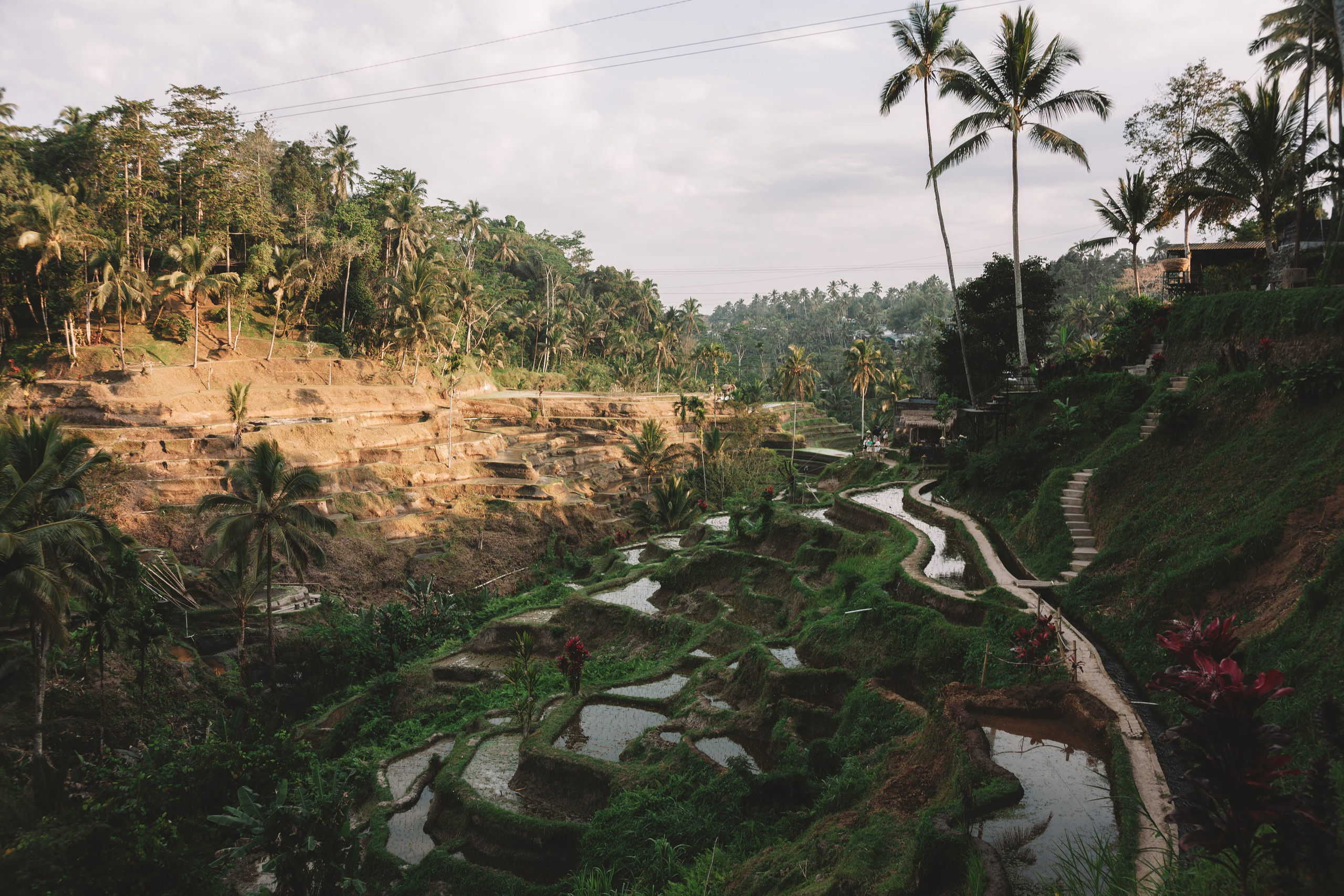 Landscapes. Wedding photographer Lyubov Sun Reutlingen