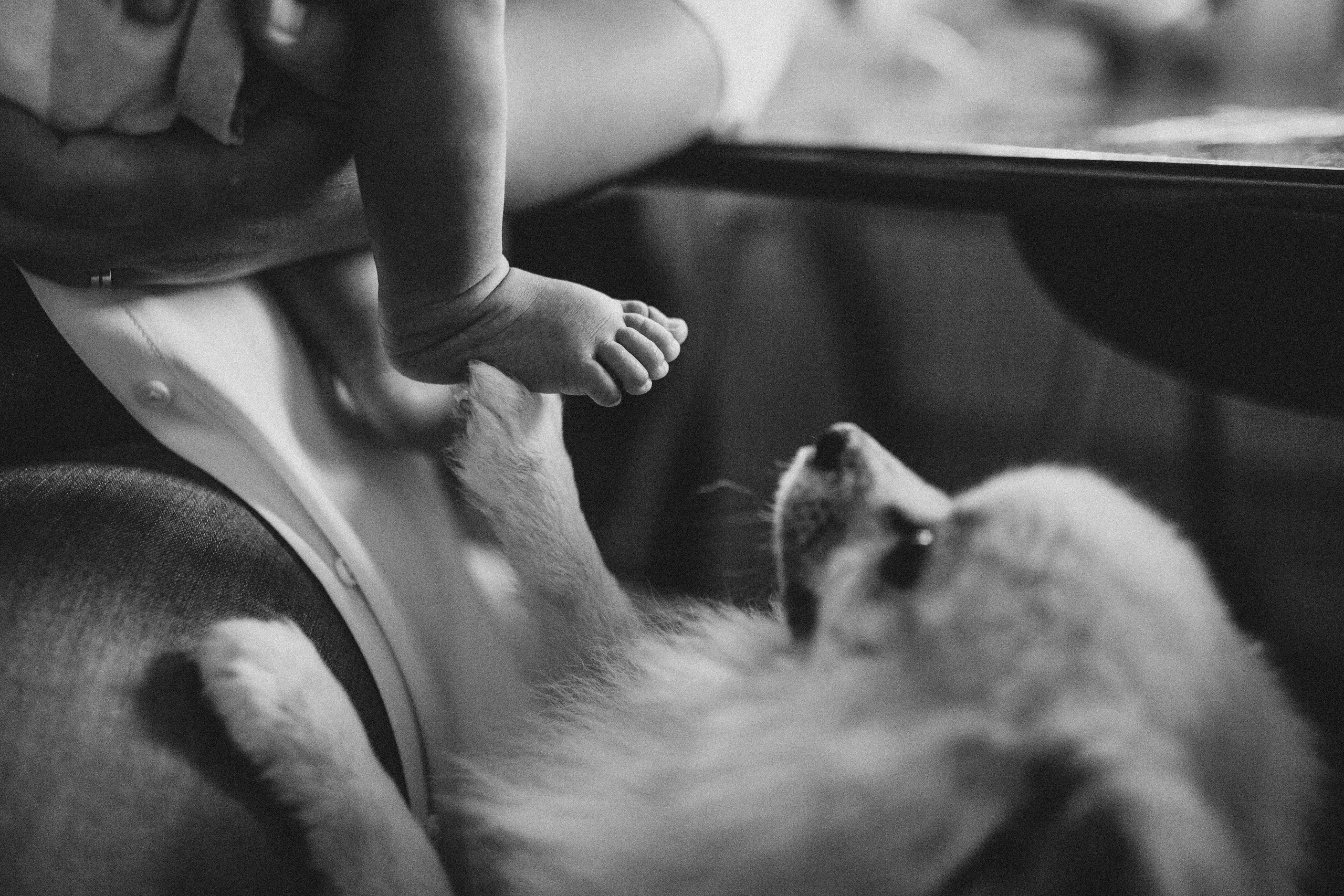 Olga Tikhonova: family photography Cambridgeshire