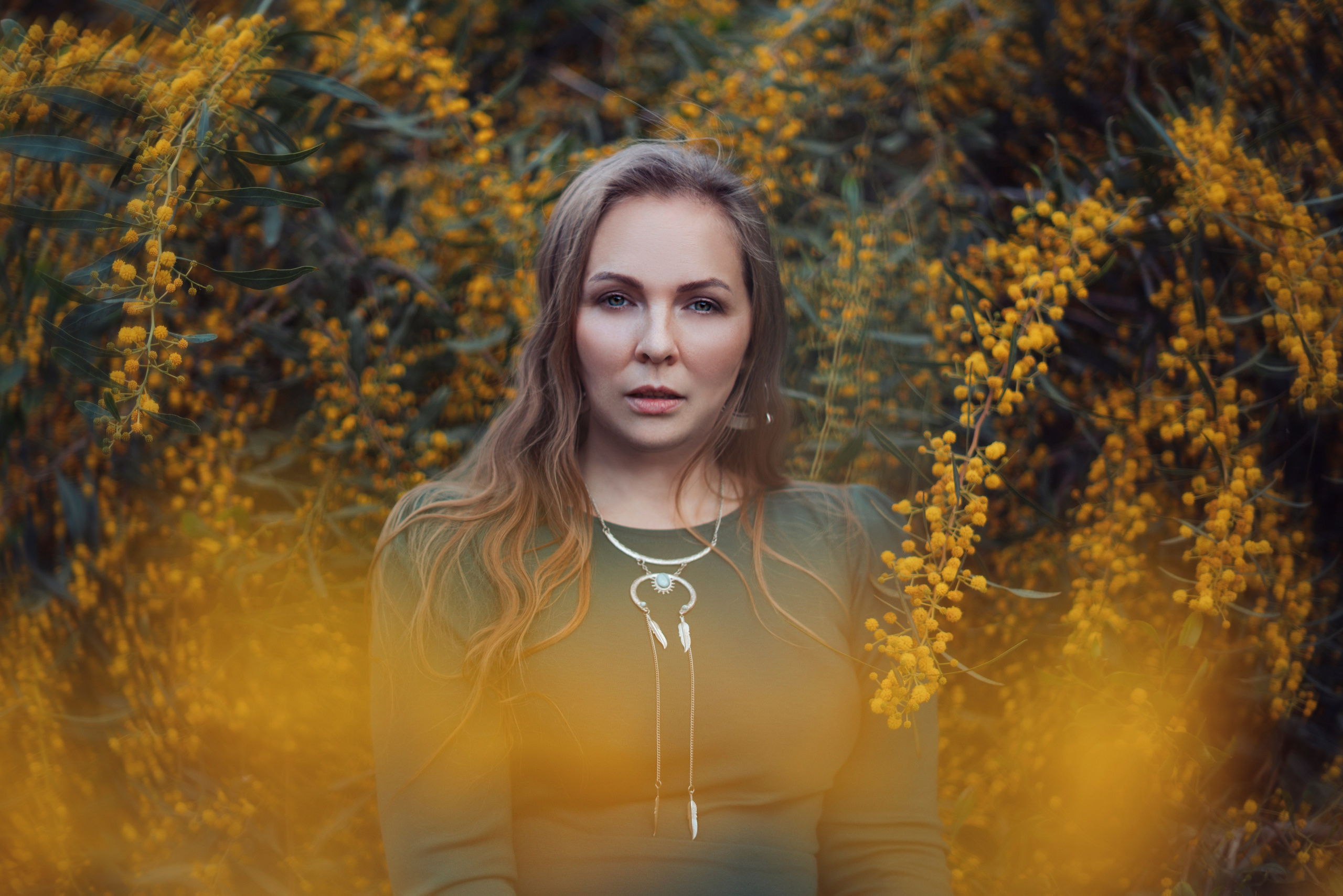 Мимоза. Анастасия Благова — Твой фотограф в Малаге 🇪🇸