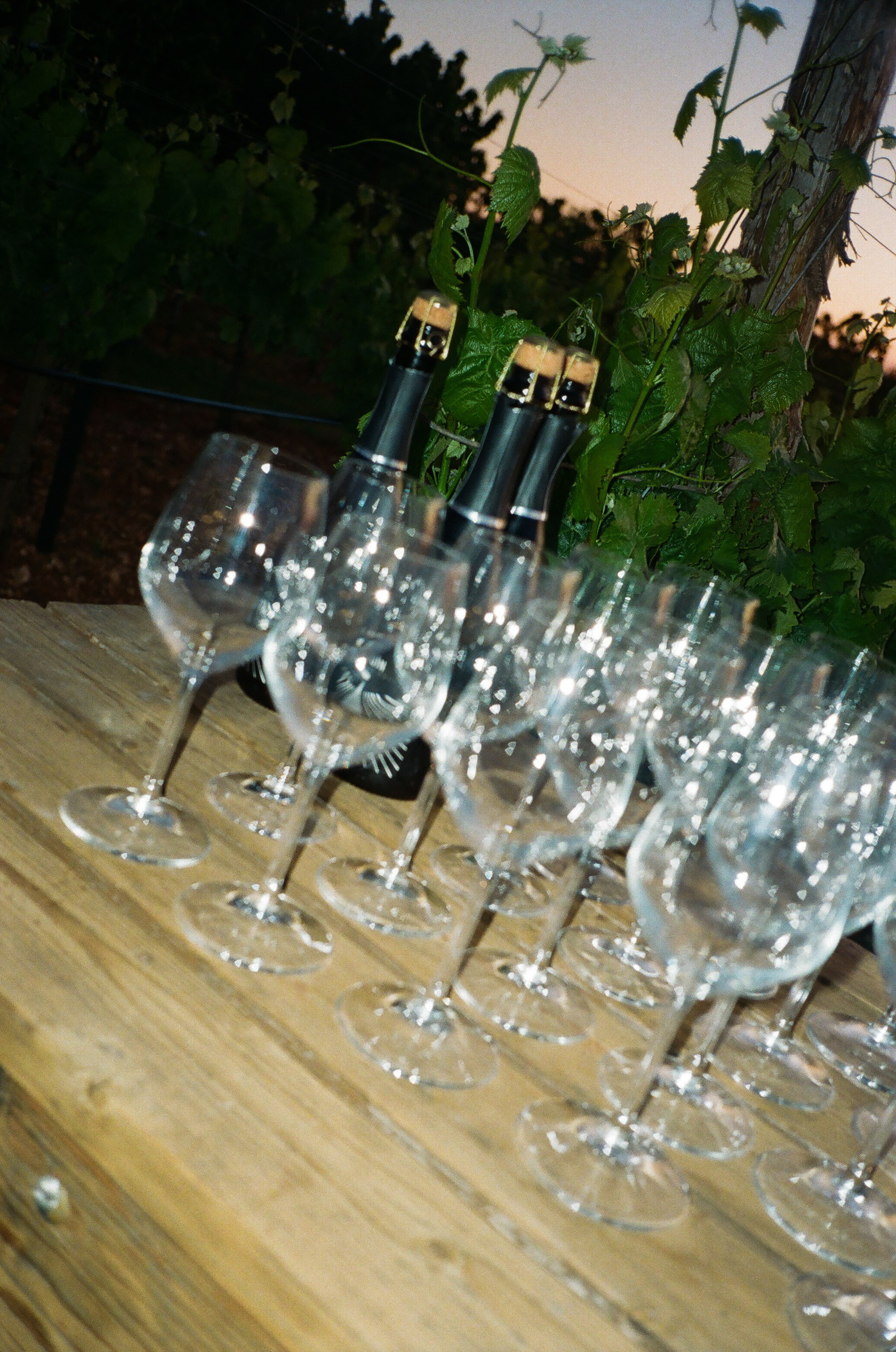 Stephanie & Christian film photos. Wedding photographer Italy