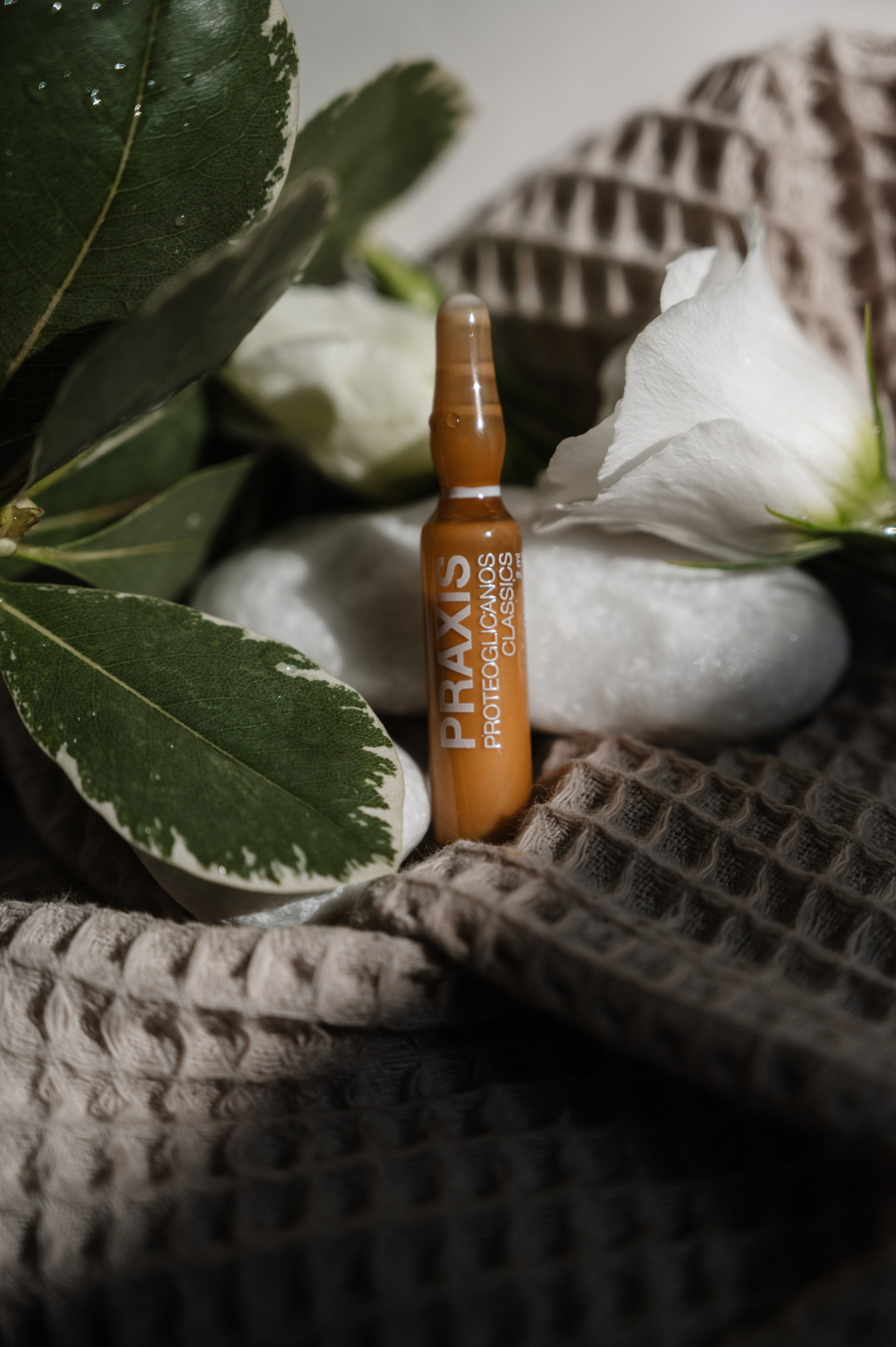 Skin&Care beauty shop. ANNA-MARIA PHOTO CONTENT CREATOR — фотограф, естет, художник і візуальний експерт Instagram у Празі