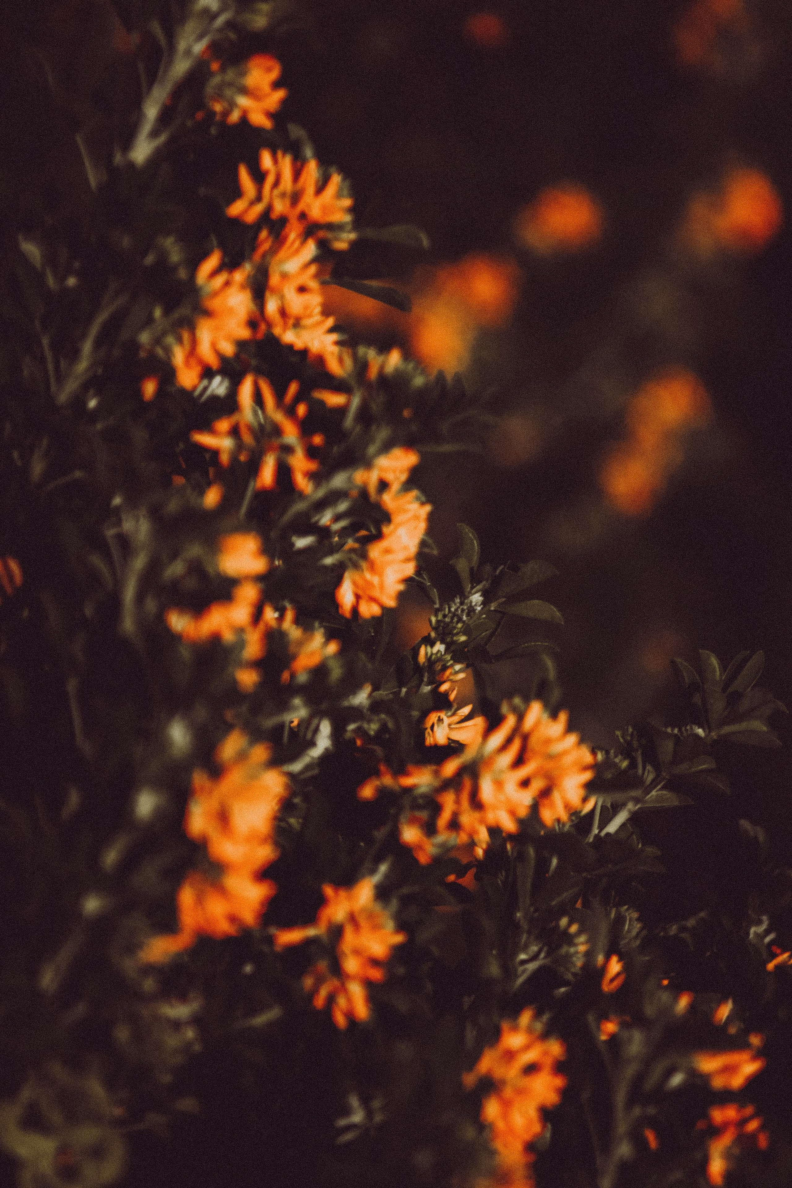 People. Photographe à la Seyne sur Mer, Var