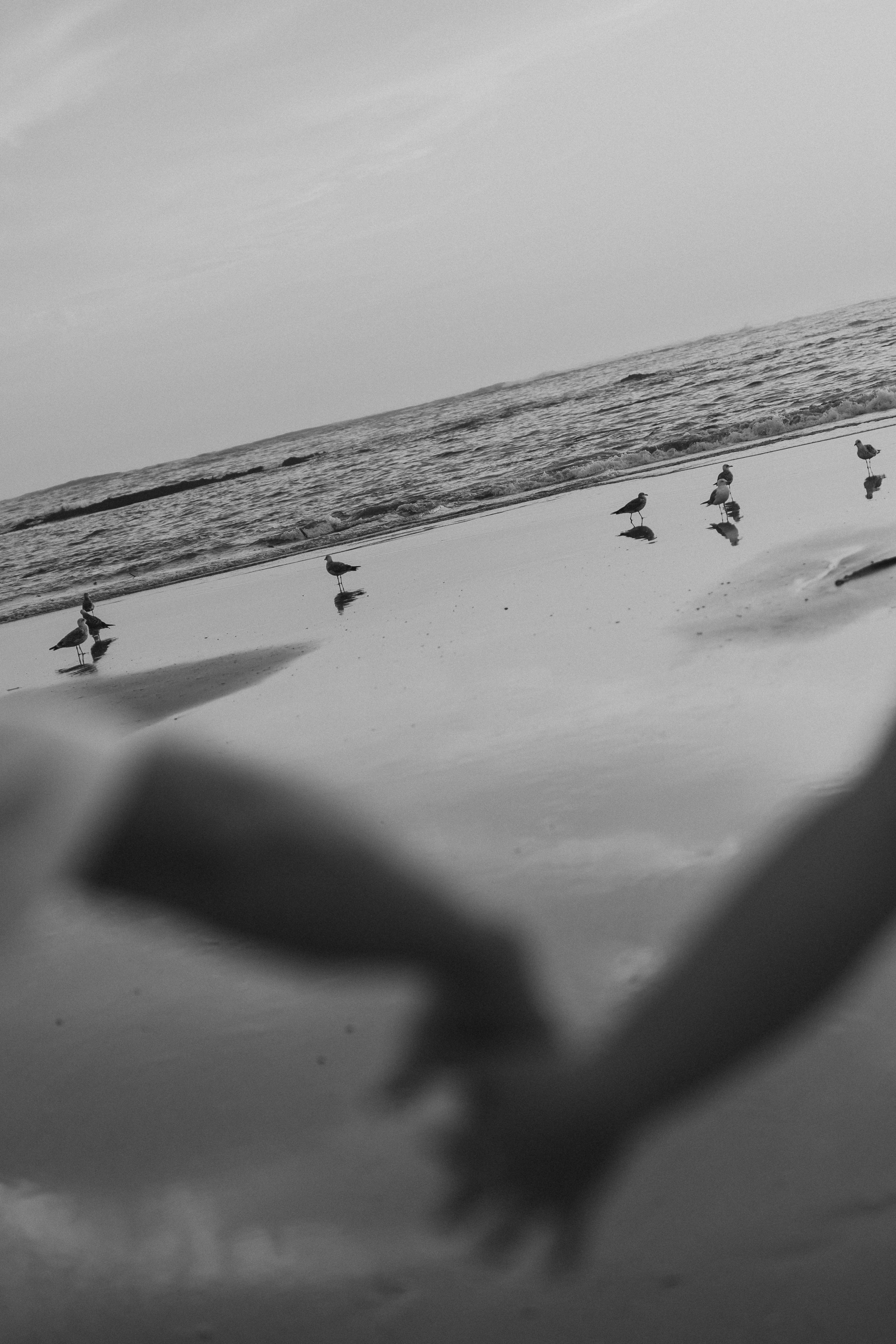 Ana & Júlio. Photographe de mariage et de famille à Braga — Alexandra Mieres Photography