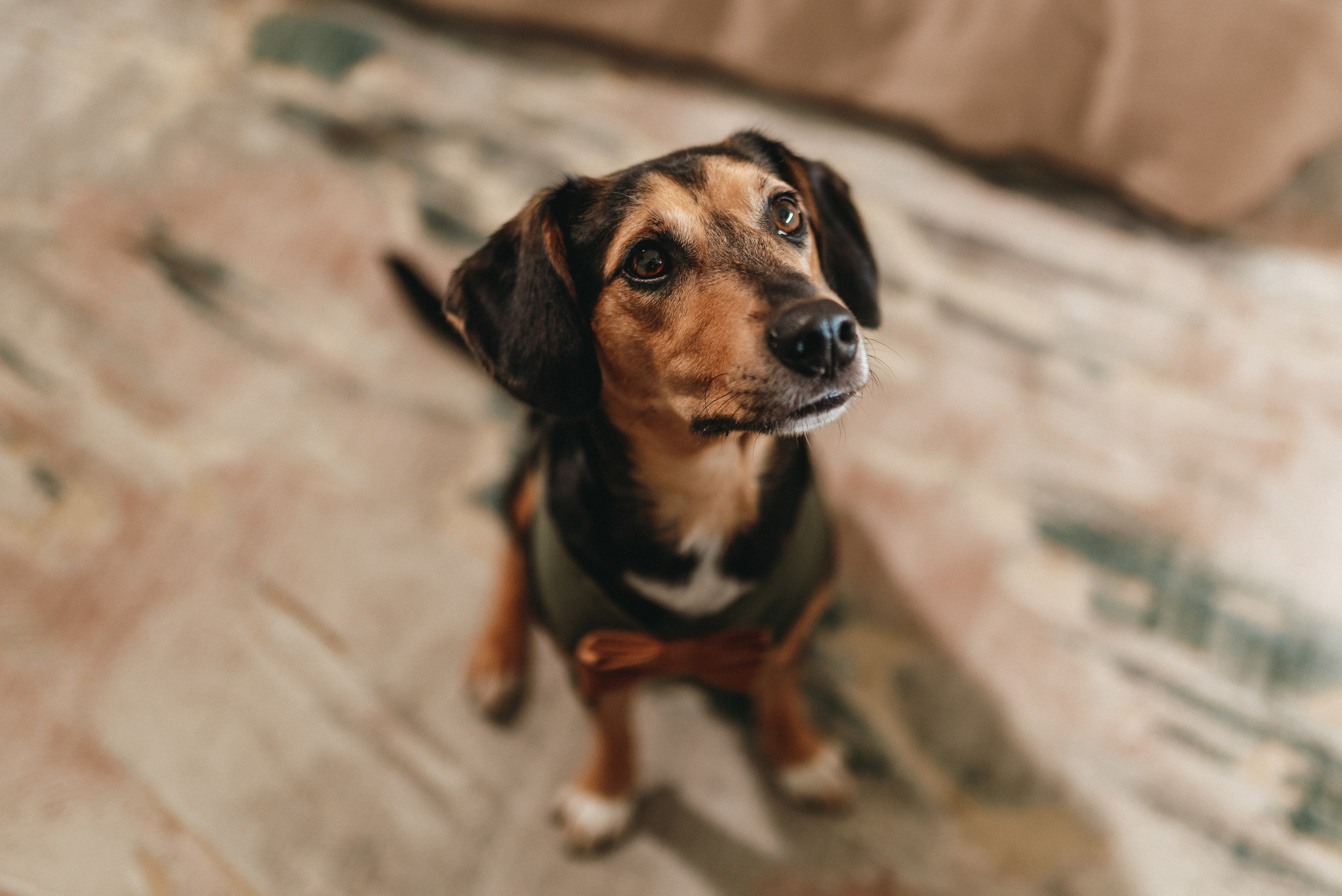 São & Luís. Photographe de mariage et de famille à Braga — Alexandra Mieres Photography