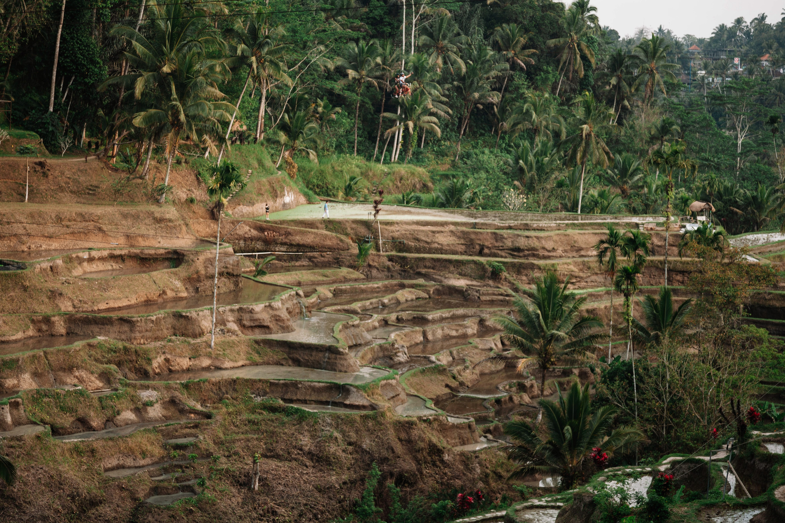 Landscapes. Wedding photographer Lyubov Sun Reutlingen