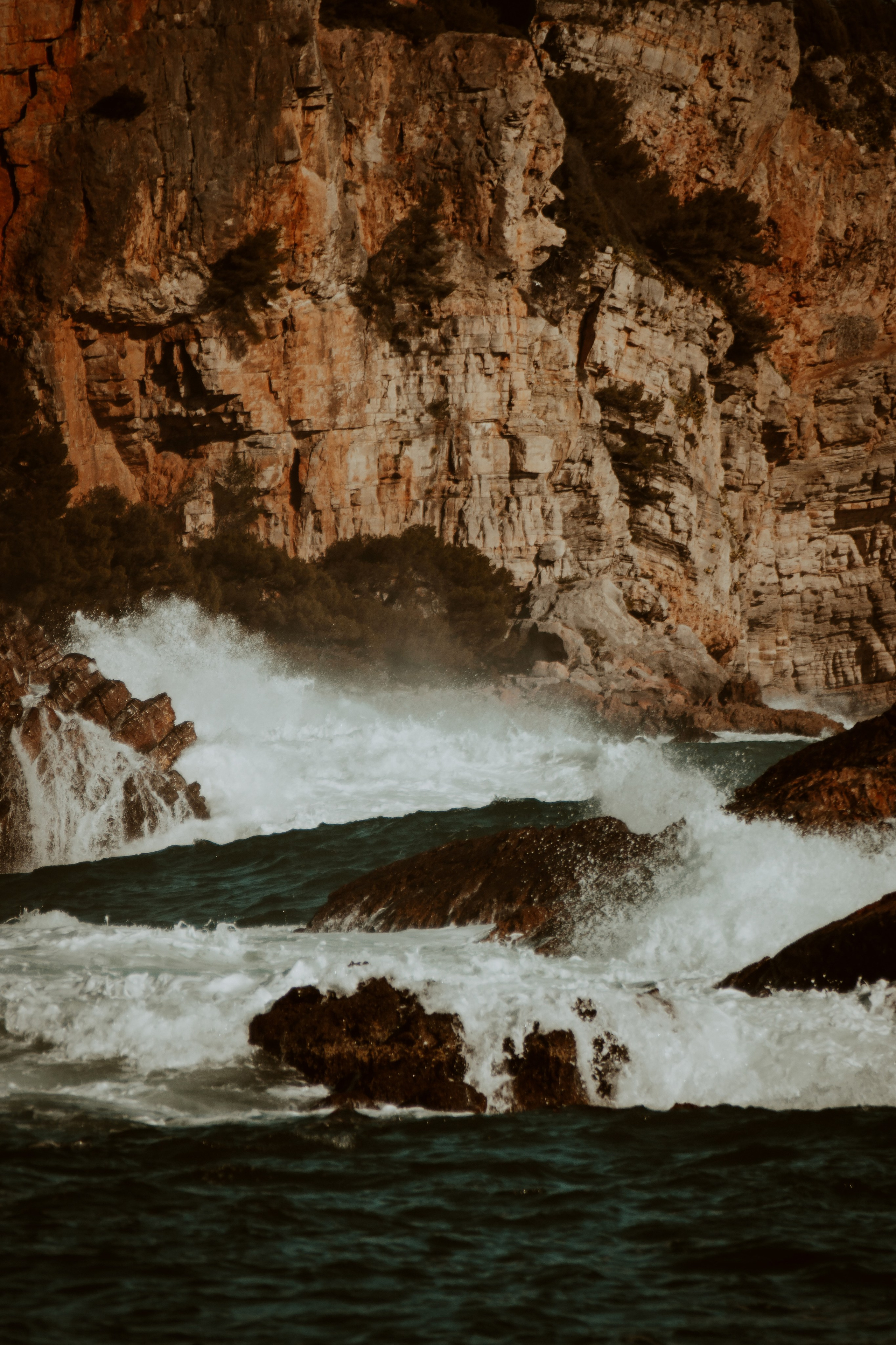 Anse Magaud, Cap Brun, Toulon. Photographe à la Seyne sur Mer, Var