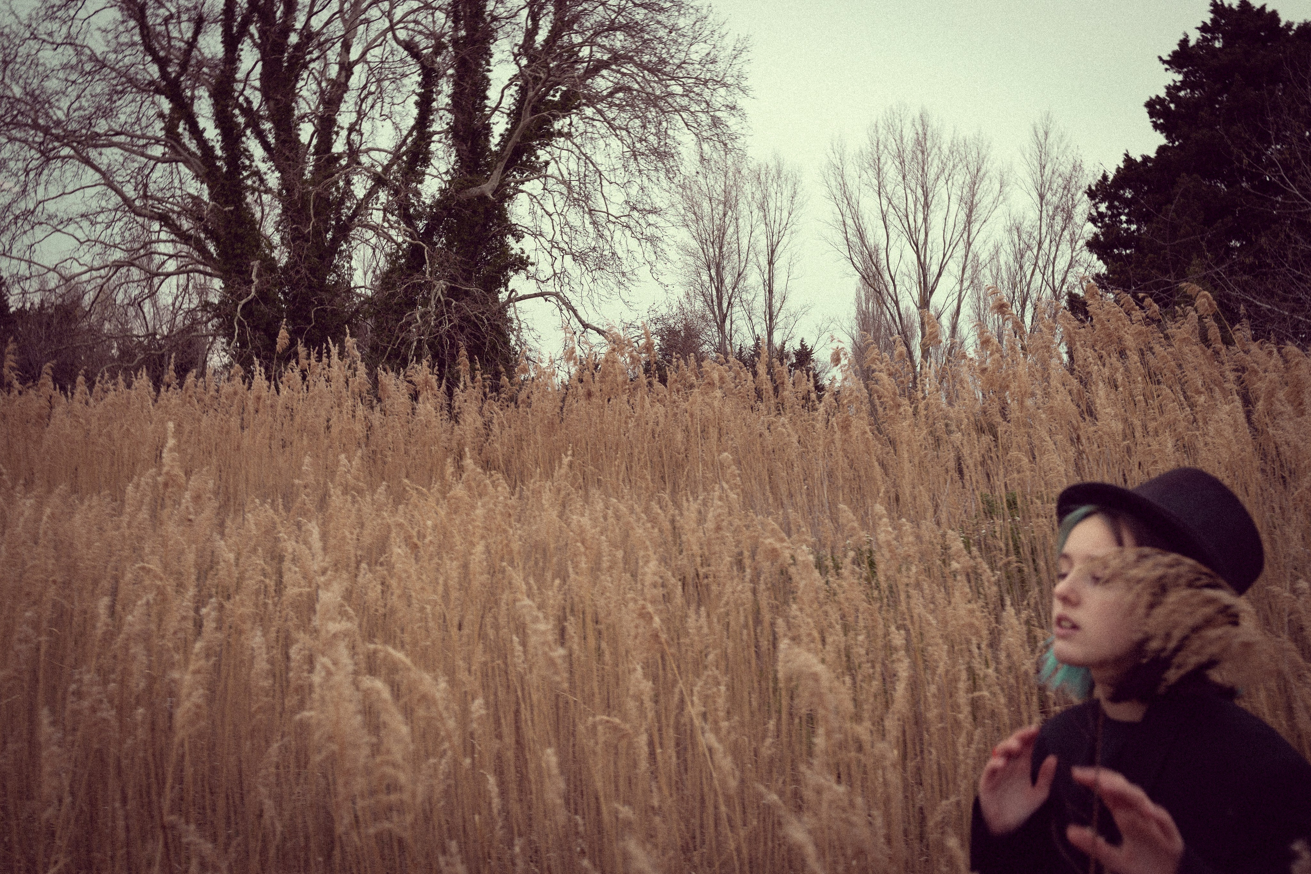 Portrait de femme charismatique. Histoires d’amour, séances photos de famille et de mariage en France