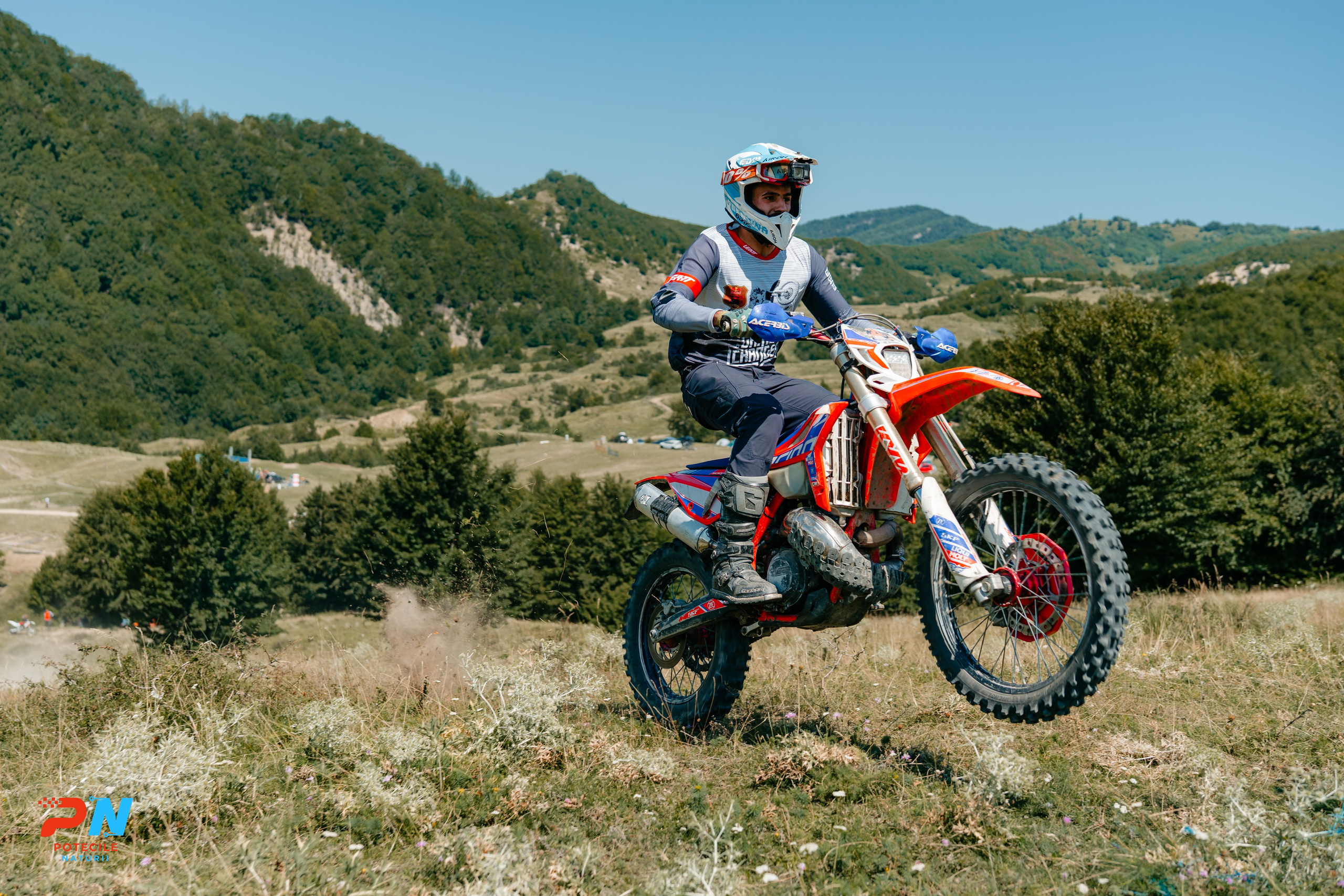 Potecile Naturii 2025. Raw Studio. Fotograful tau de nunta!