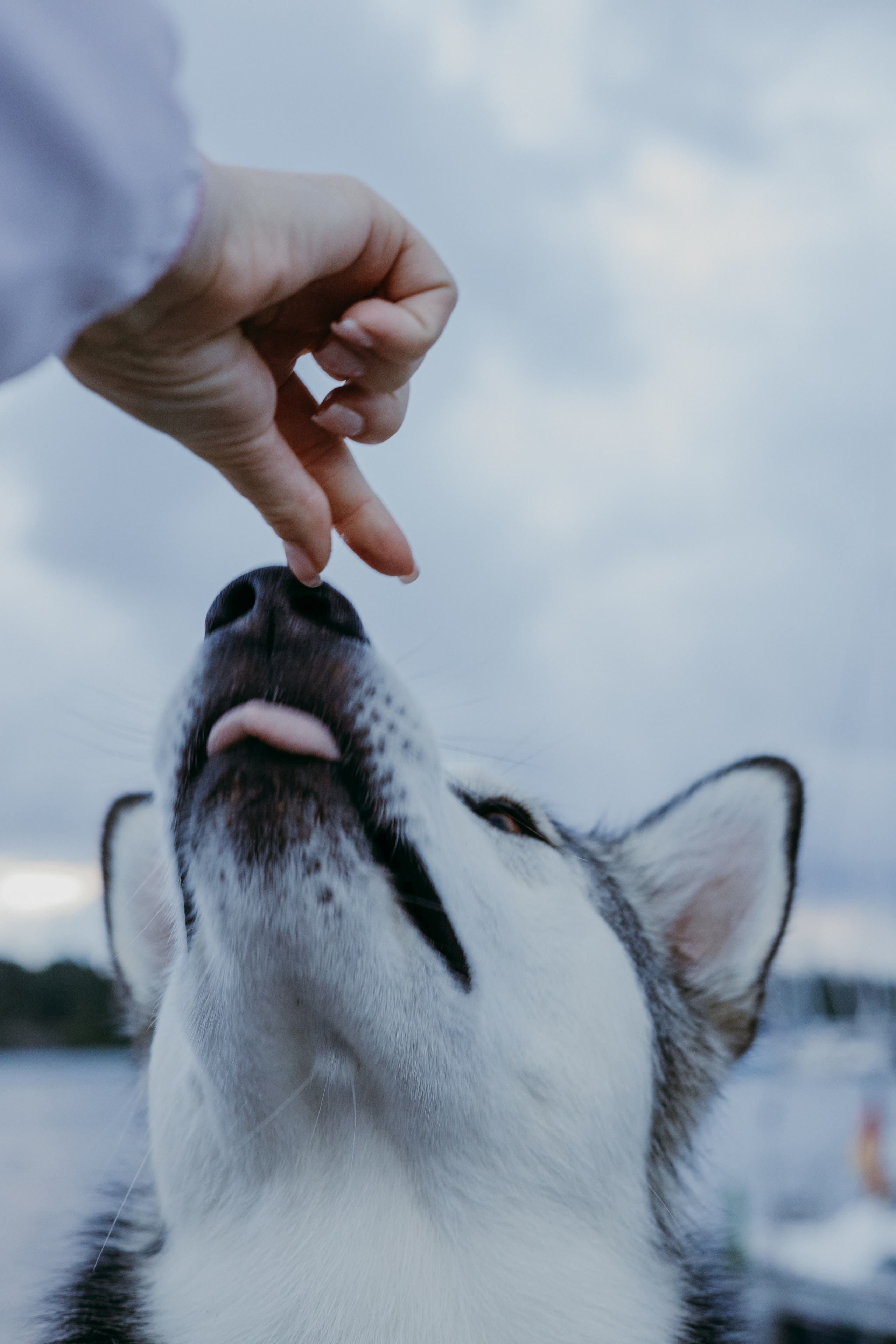 Oksana. Iryna Zhyvora | Photographer | Stockholm