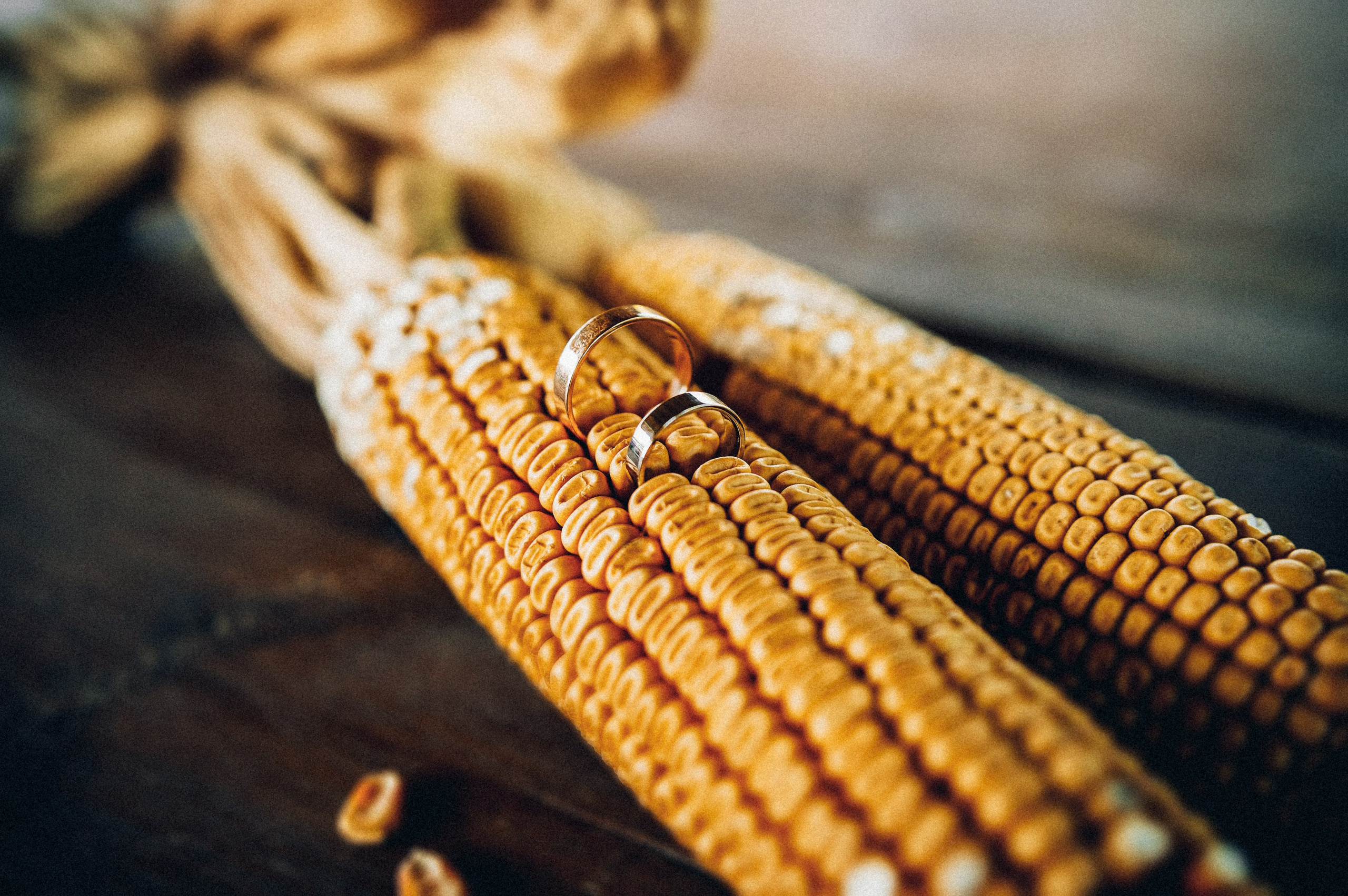 Oxana & Iulian. Fotograf de familie și evenimente