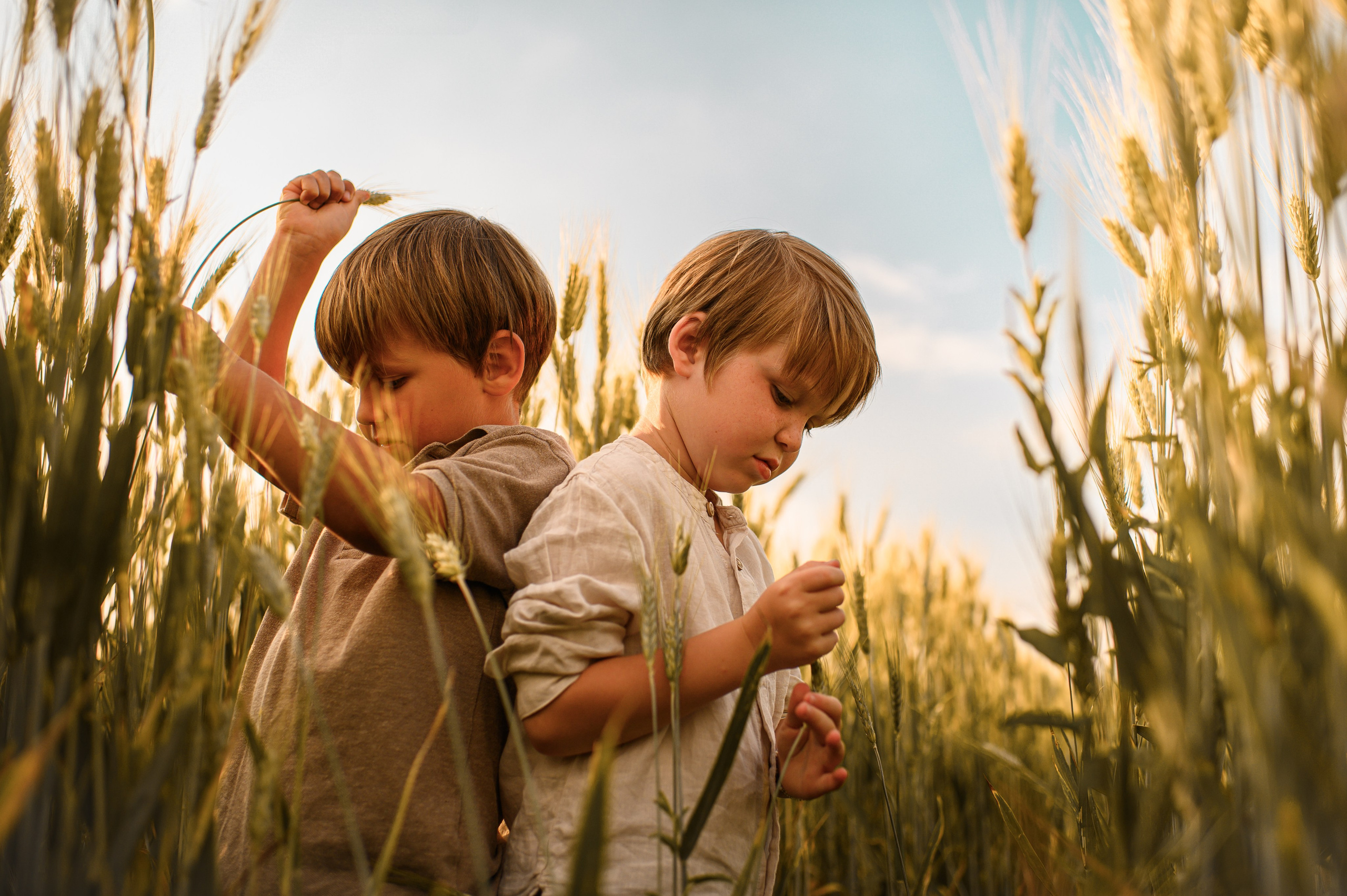 Wheat fields. Family, children, portrait, and event photography in Thessaloniki
