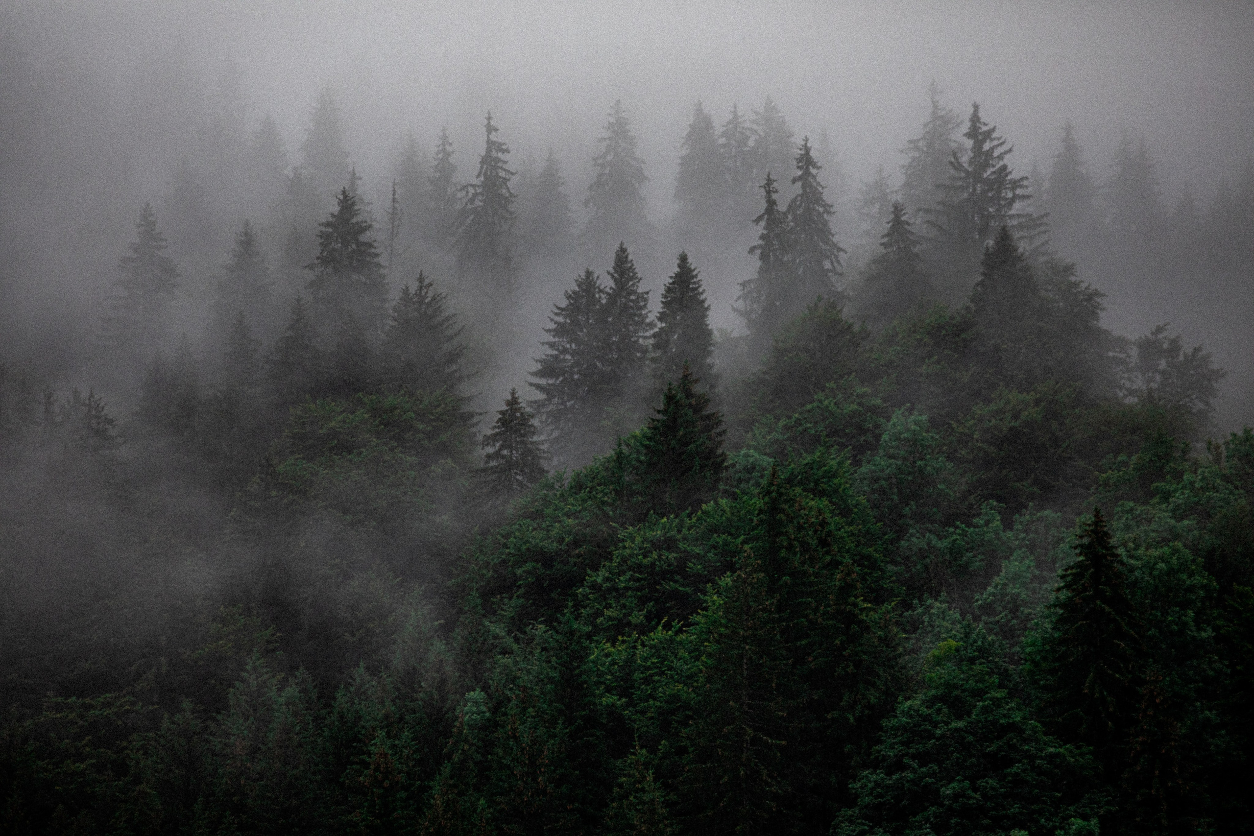 OVERVIEW. Outdoor and art photographer. Alisa Lutchenkova