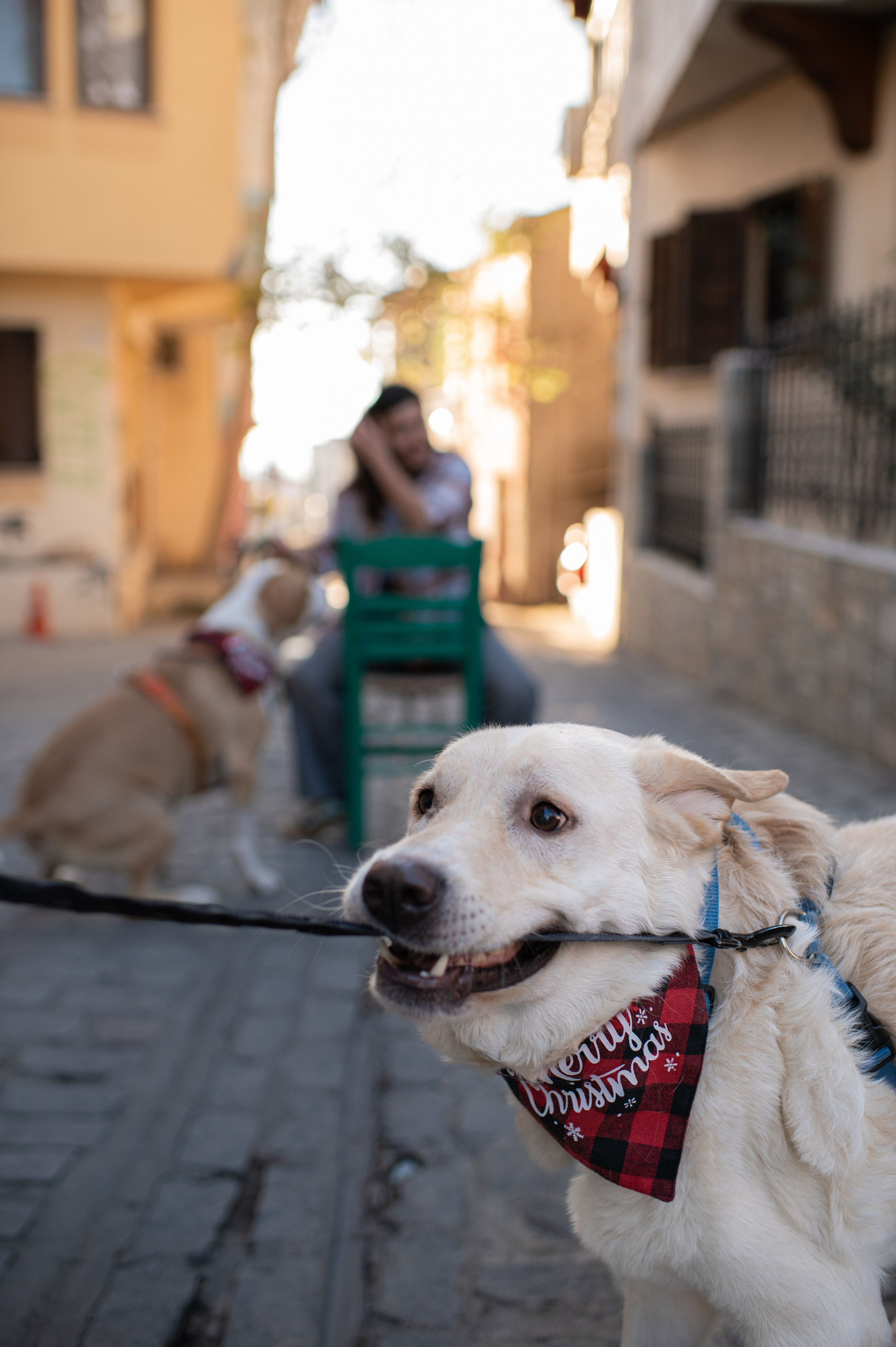 Around Old city. Family, children, portrait, and event photography in Thessaloniki