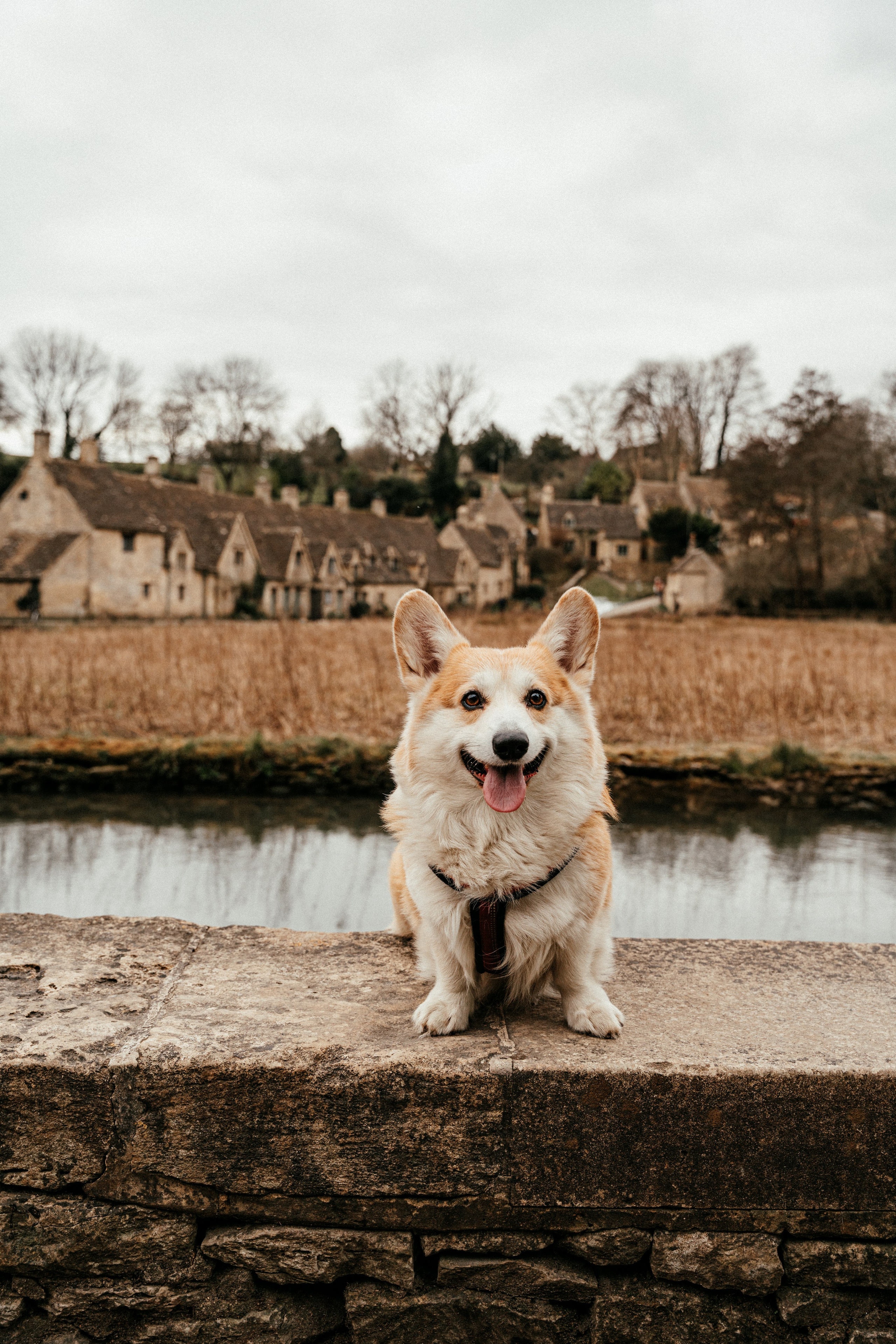 Cotswolds. Tonya Kyrylenko photographer in London