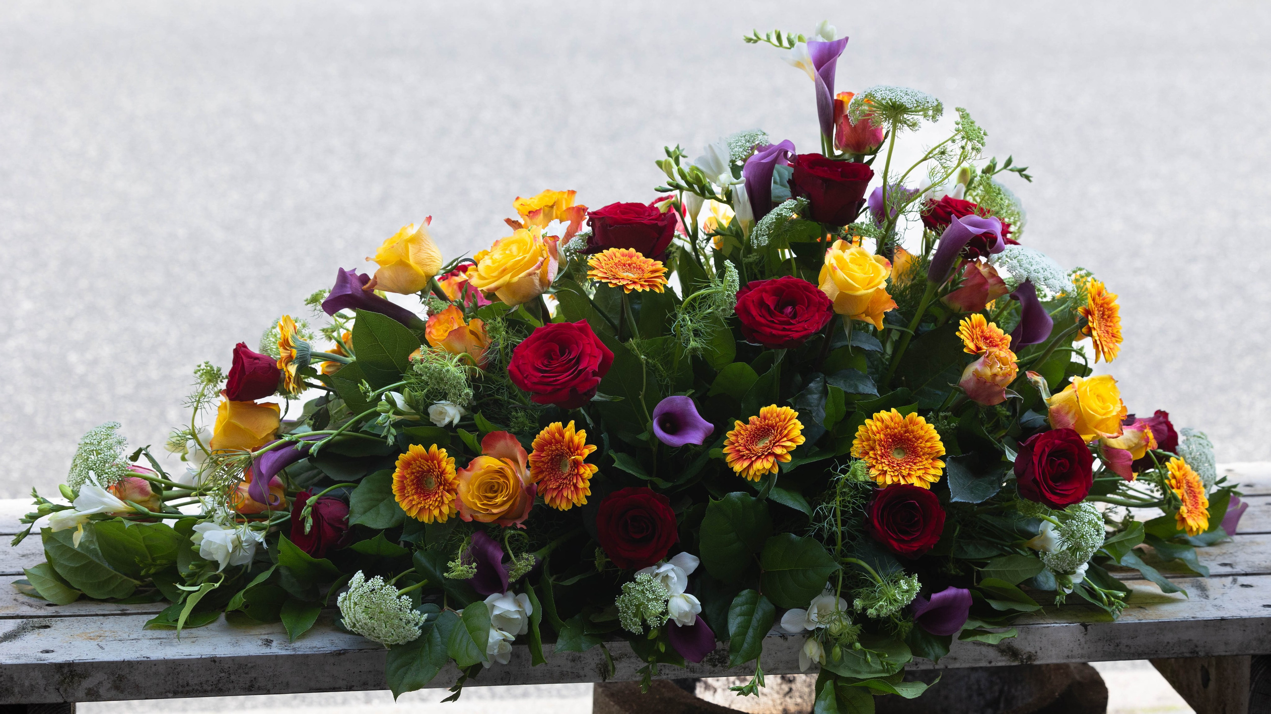 Smuk kistepynt med calla fra Akropolis Blomster, hvor calla symboliserer ære og skønhed. Denne elegante og respektfulde dekoration skaber en værdig hyldest. Bestil din kistepynt med calla til begravelse og få den leveret i Aarhus og omegn.