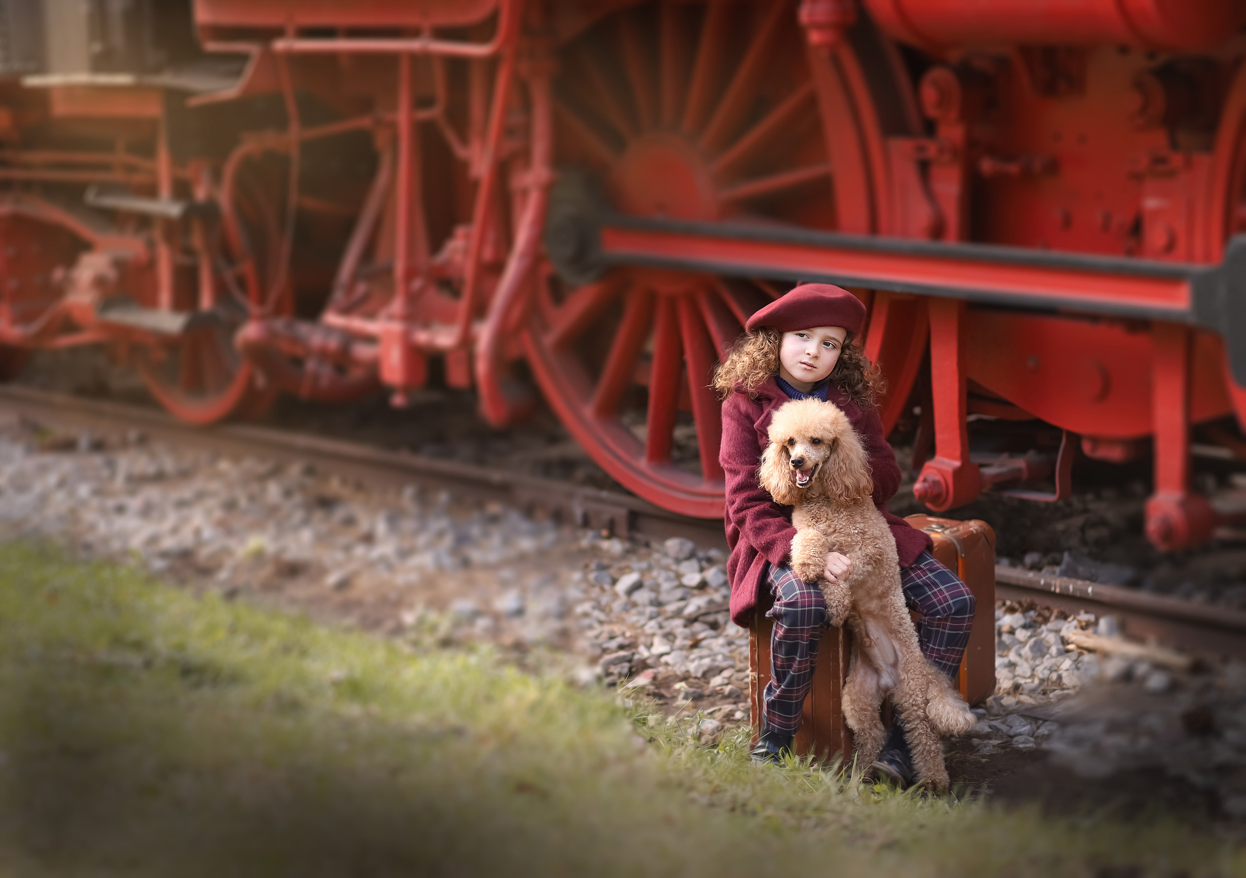 Tierfotografie. Familien und Hochzeitfotograf in Molbergen, Cloppenburg, Münsterland
