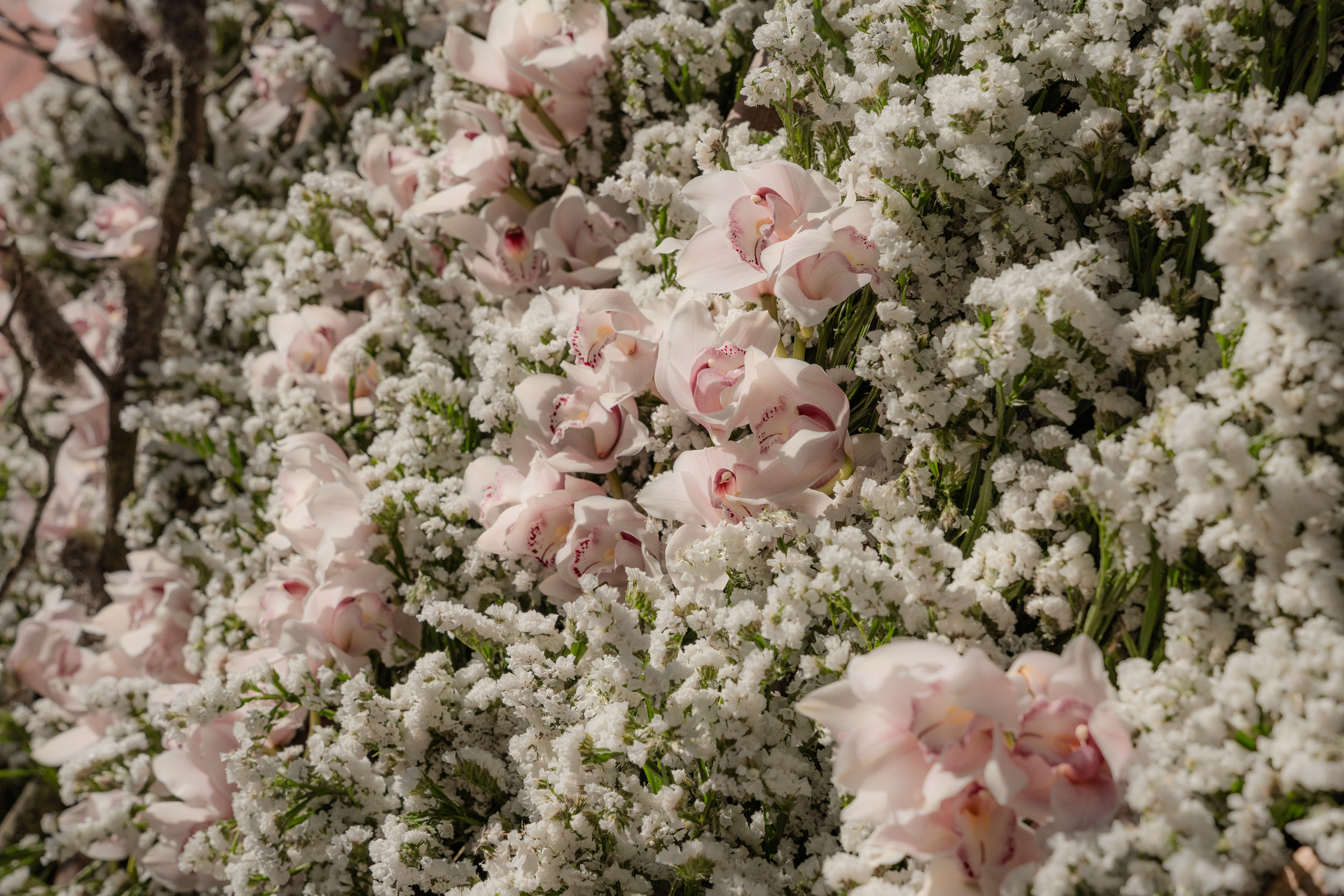 Chelsea_in_bloom. Tonya Kyrylenko photographer in London