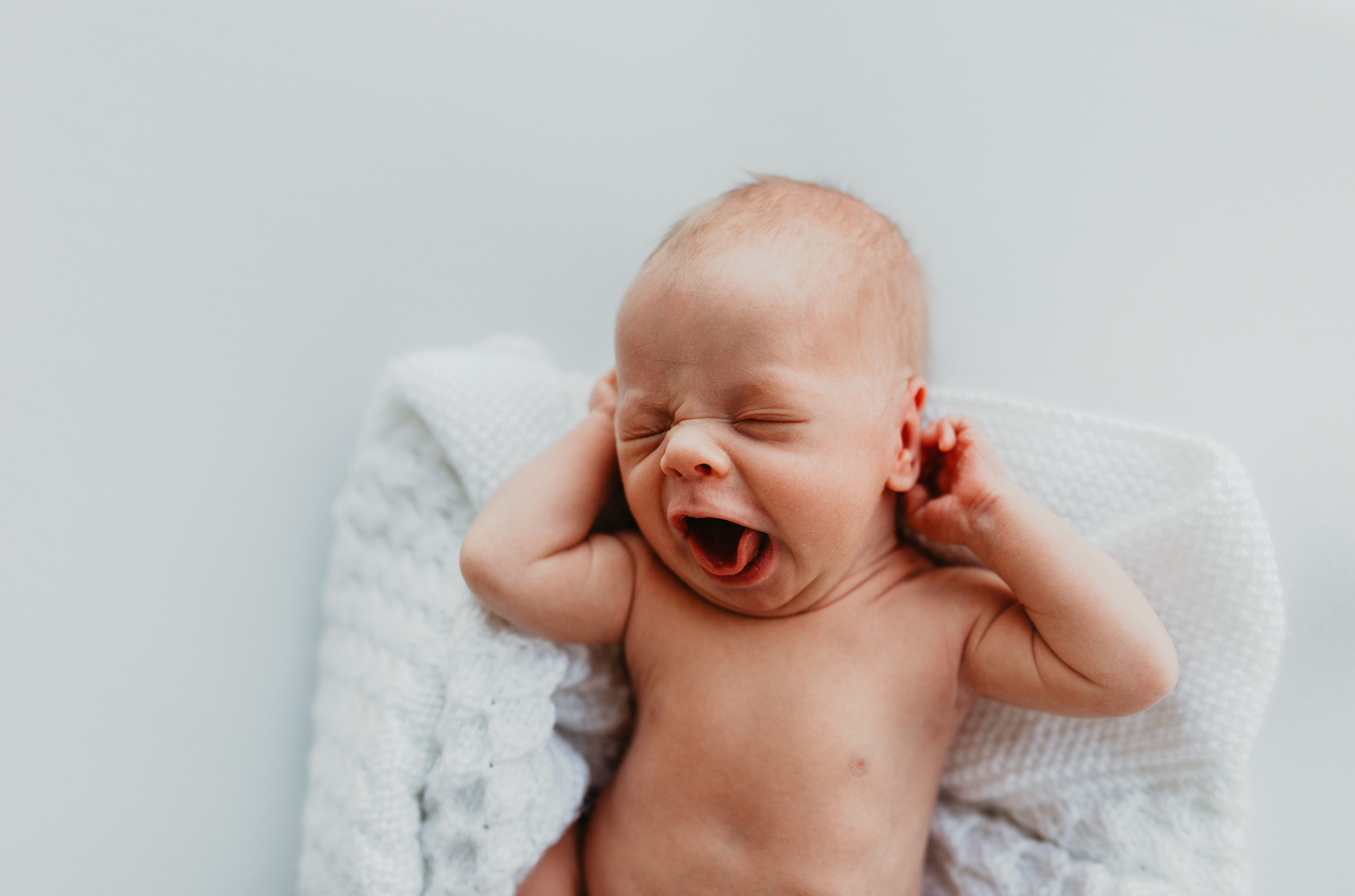 NEWBORN. Valokuvaaja Itä-Uudellamaalla Viktoria photography