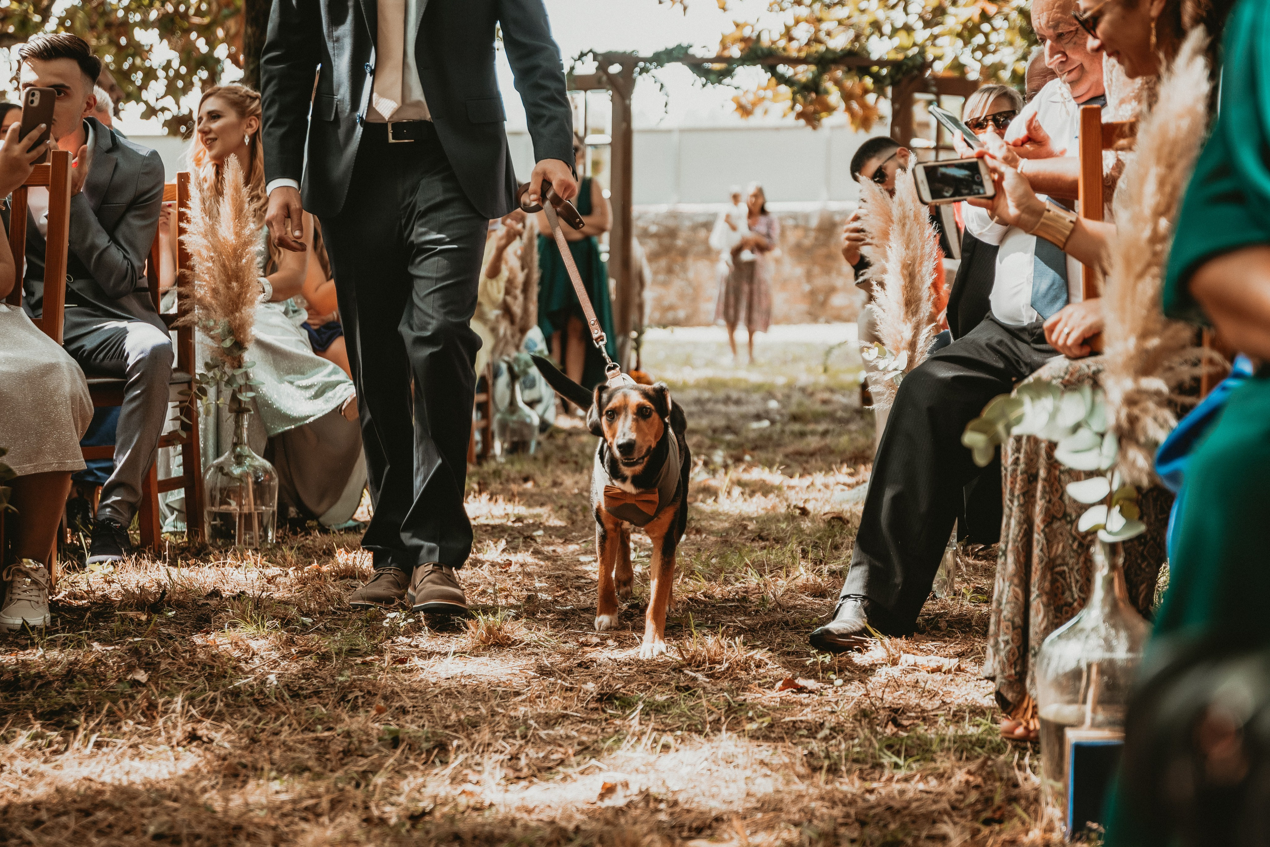 São & Luís. Photographe de mariage et de famille à Braga — Alexandra Mieres Photography