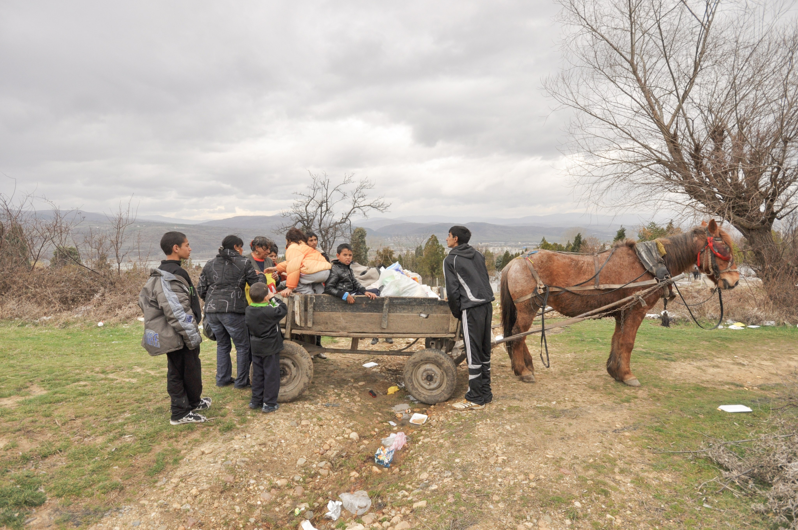 Hope for Cherry Blossom. Mayya Kelova artist