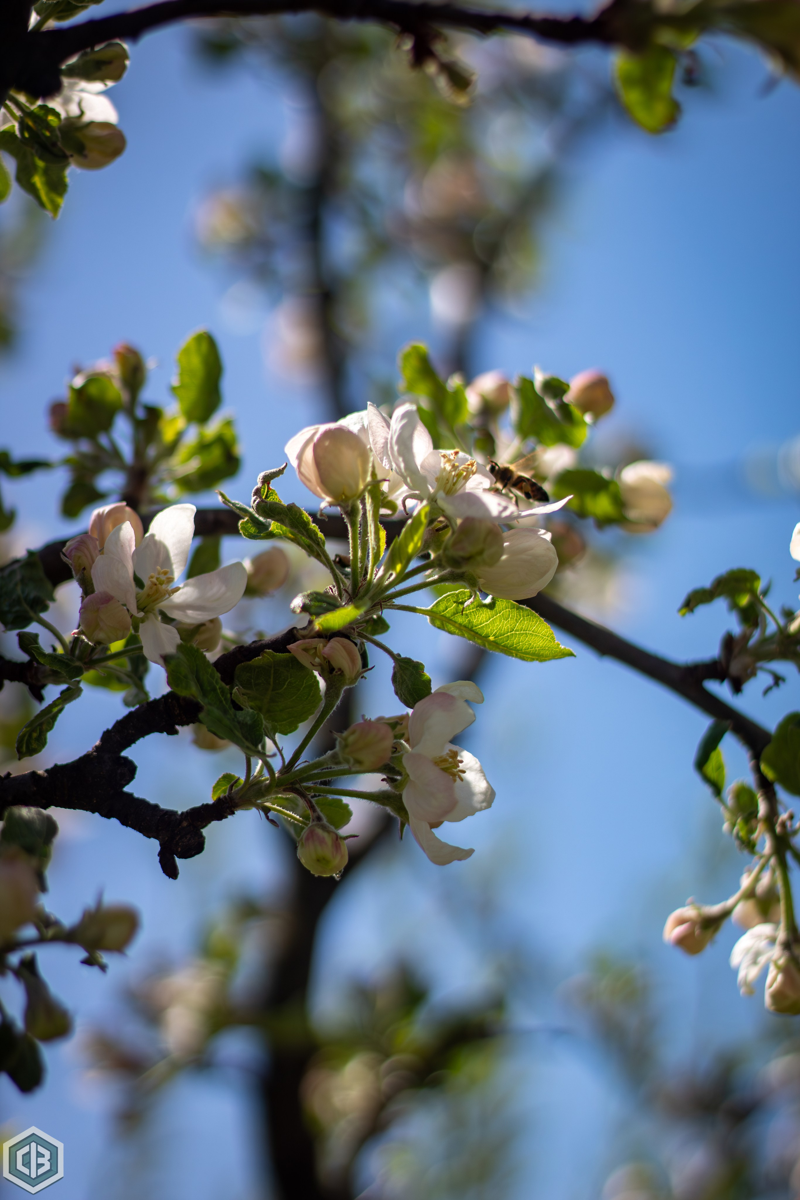 Trip to Mileanca. Cristian Baltag | Photography | Capturing Moments in Iasi