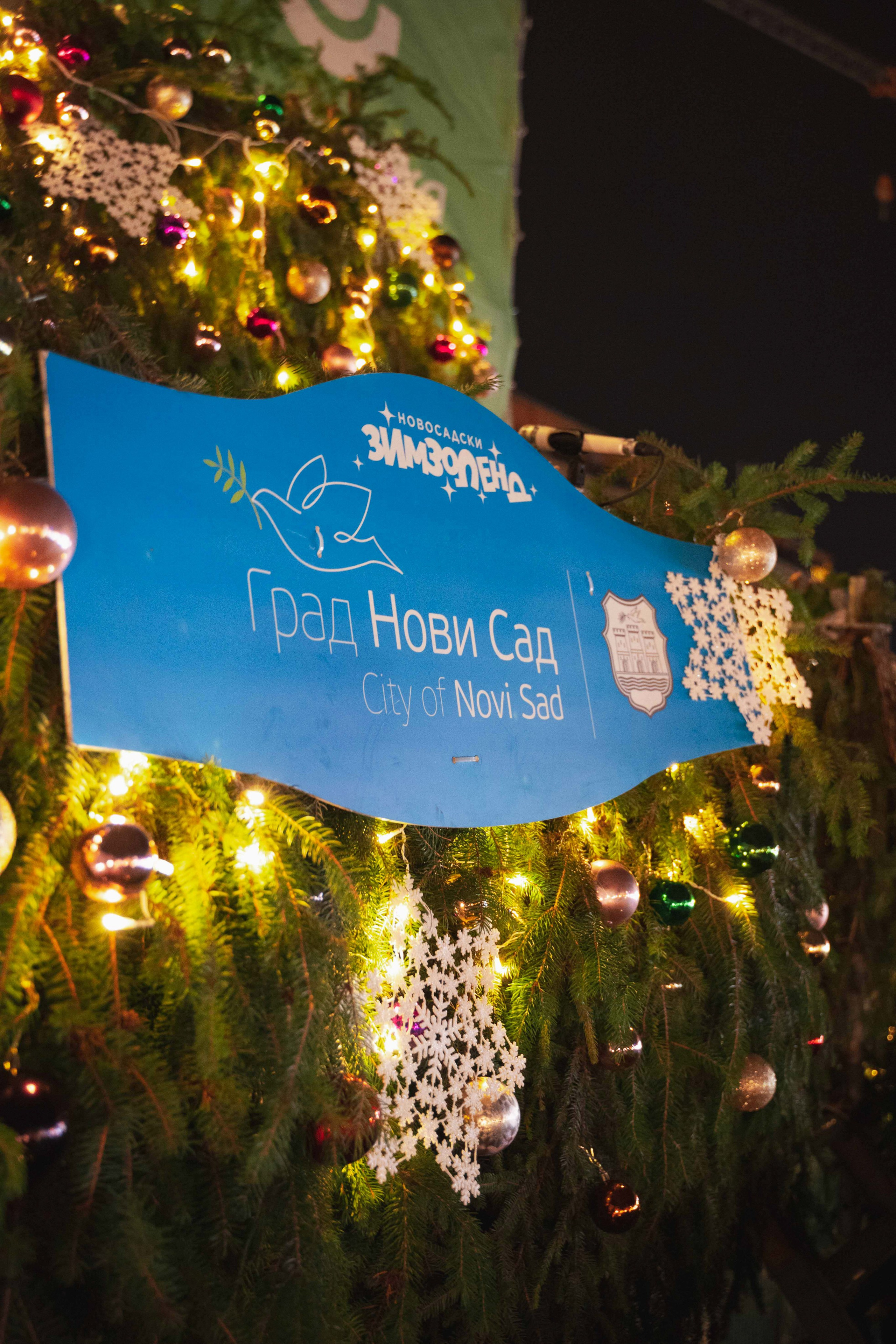 Novosadski Zimzolend. Жуков Студио