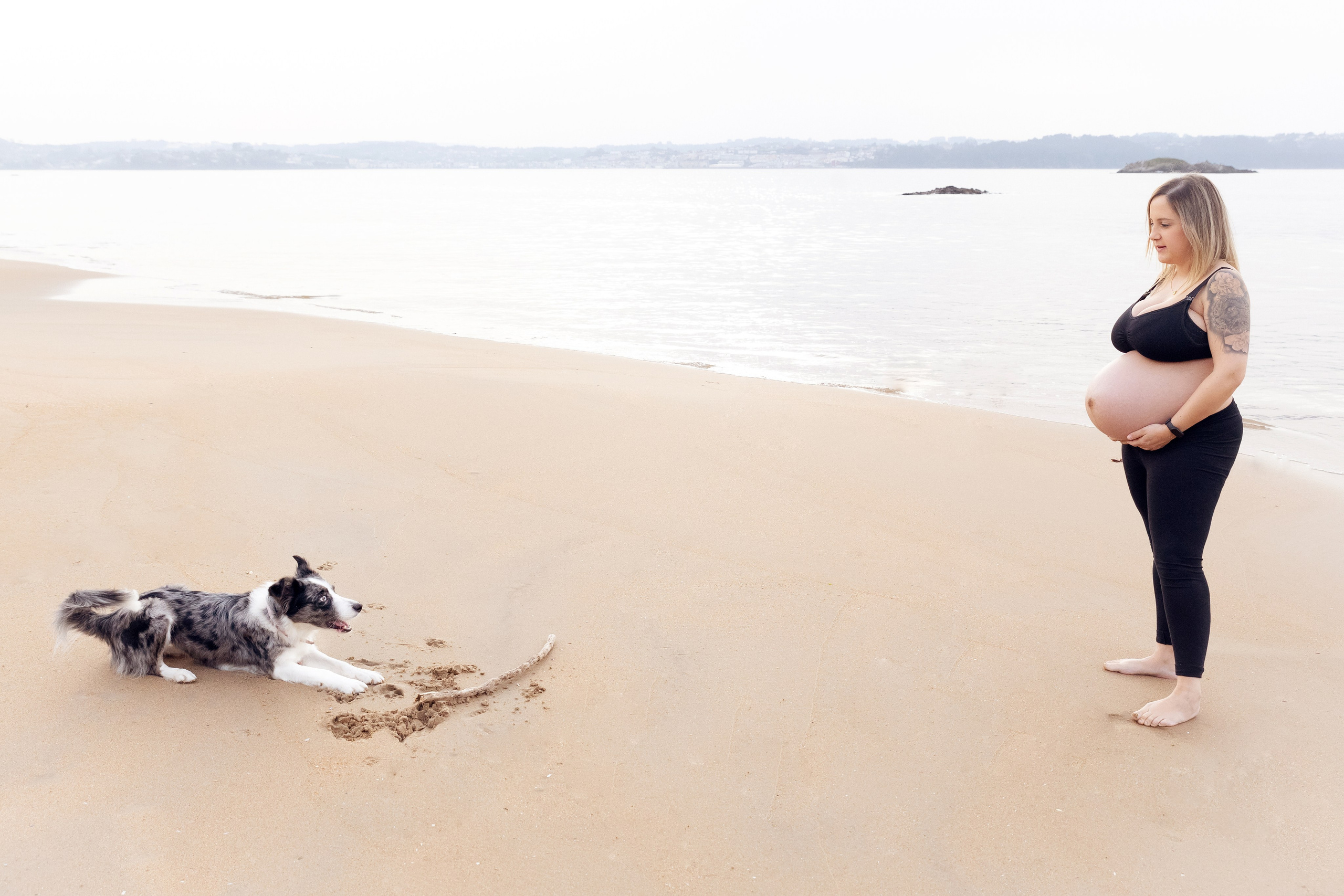 Sesiones fotográficas a mascotas. RabelByCris Fotógrafa en Coruña de Eventos, sesiones, mascotas