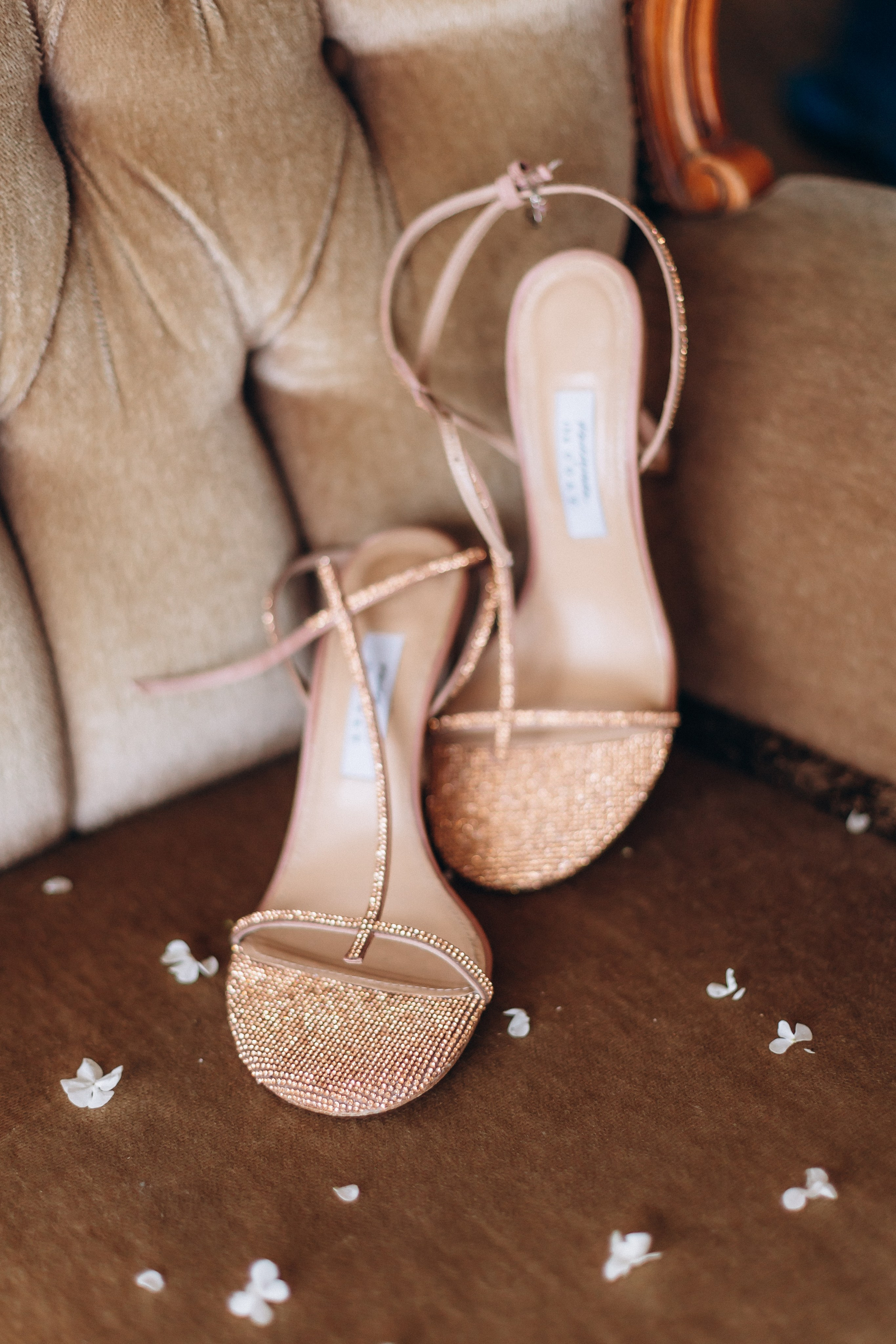 Anna & Alex. Wedding and Family Photograph